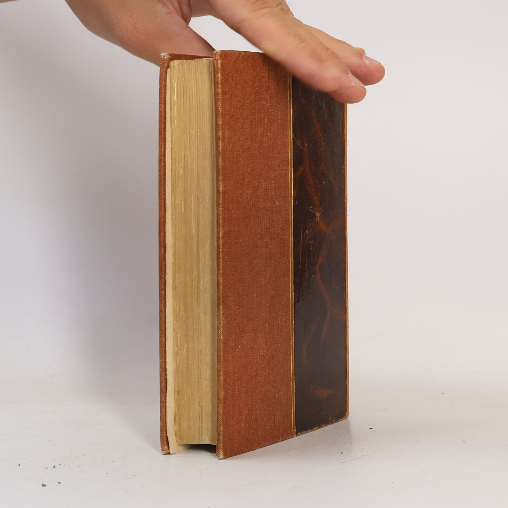 Julius Zeyer Novelly II.
