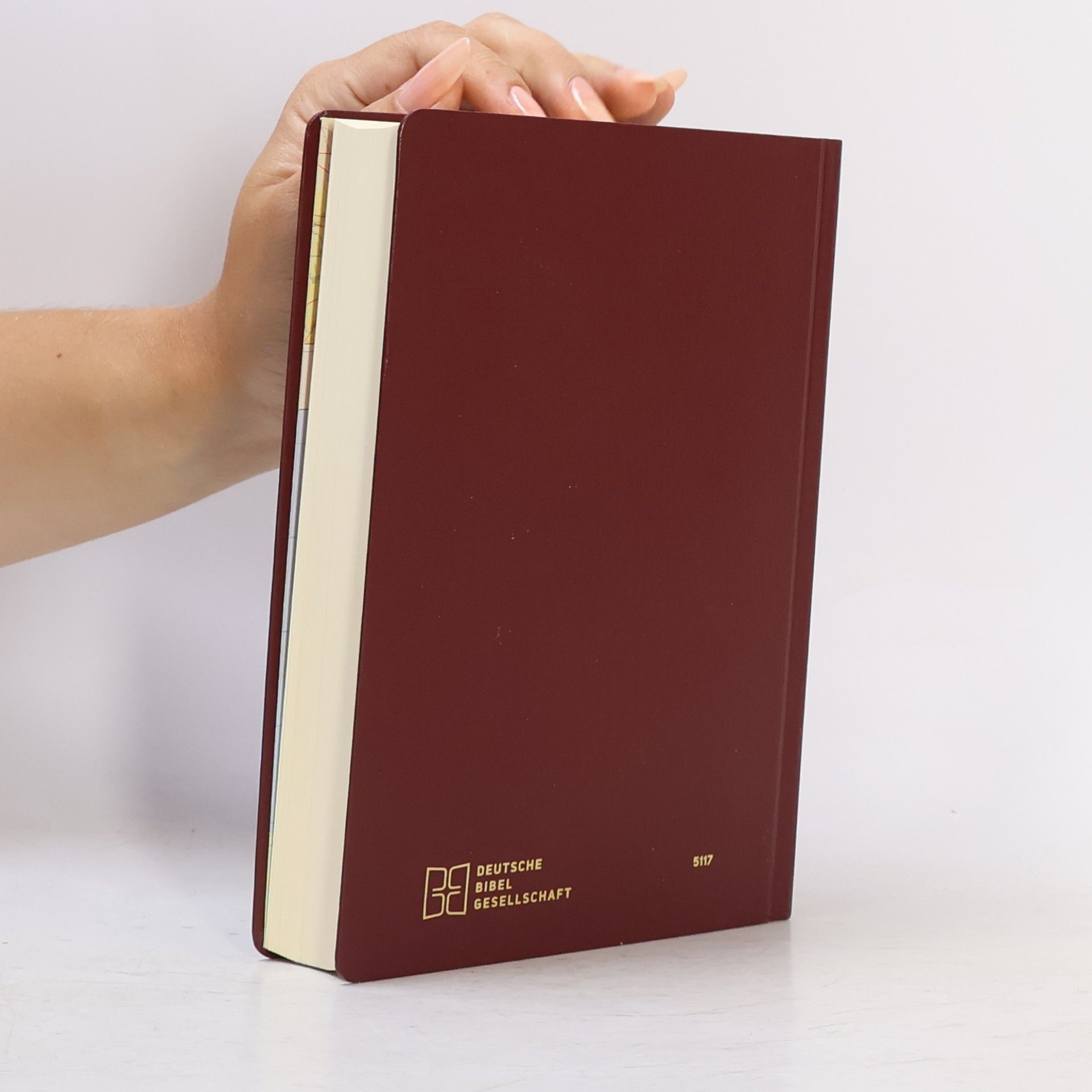 Barbara Aland The Greek New Testament