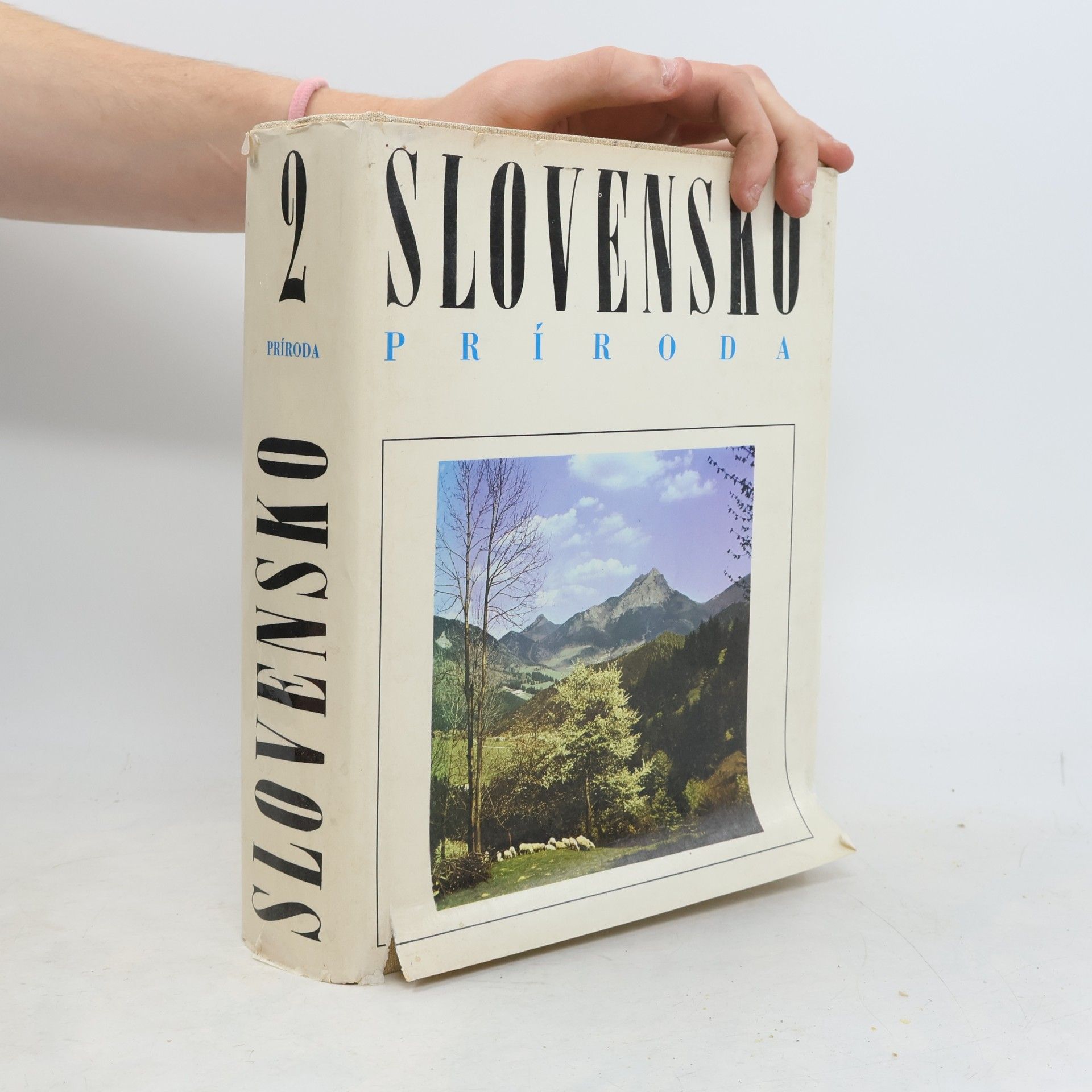 AA.VV. Slovensko 2. Príroda