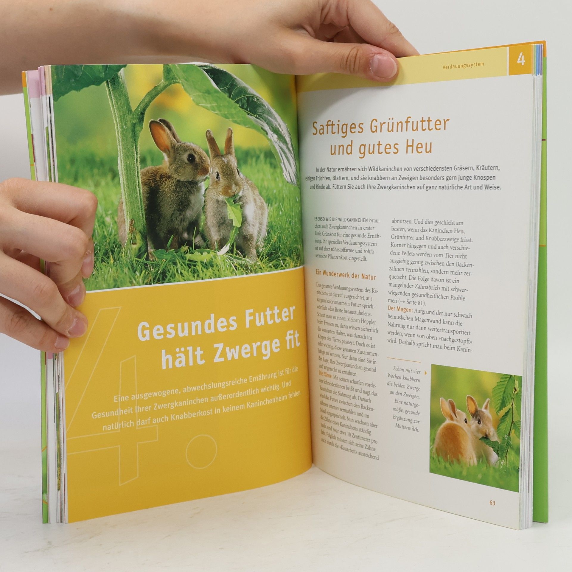 Monika Wegler Mein Zwergkaninchen