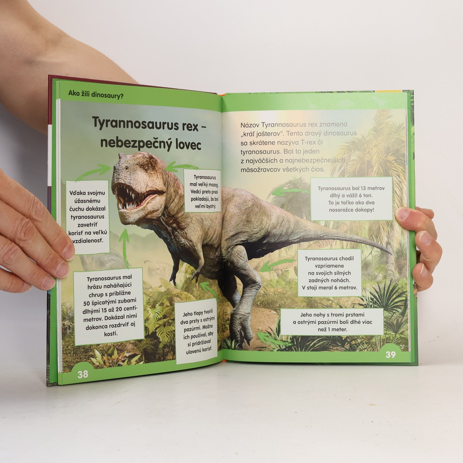 Autorenkollektiv Učím se číst: Dinosauři