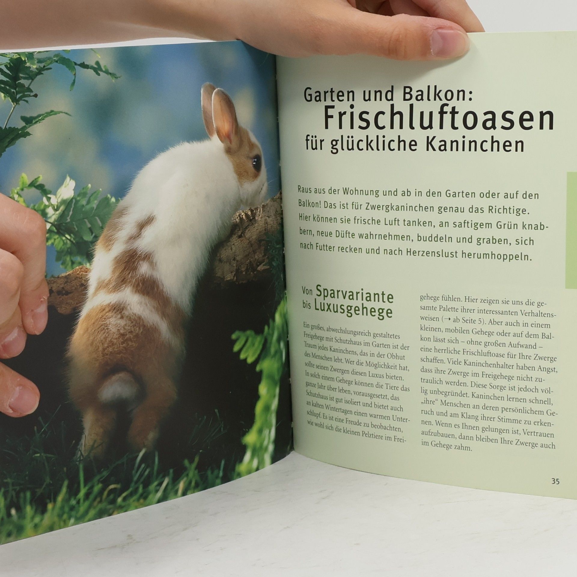 Gabriele LinkeGrün Zwergkaninchen-Wohlfühl-Heime gestalten
