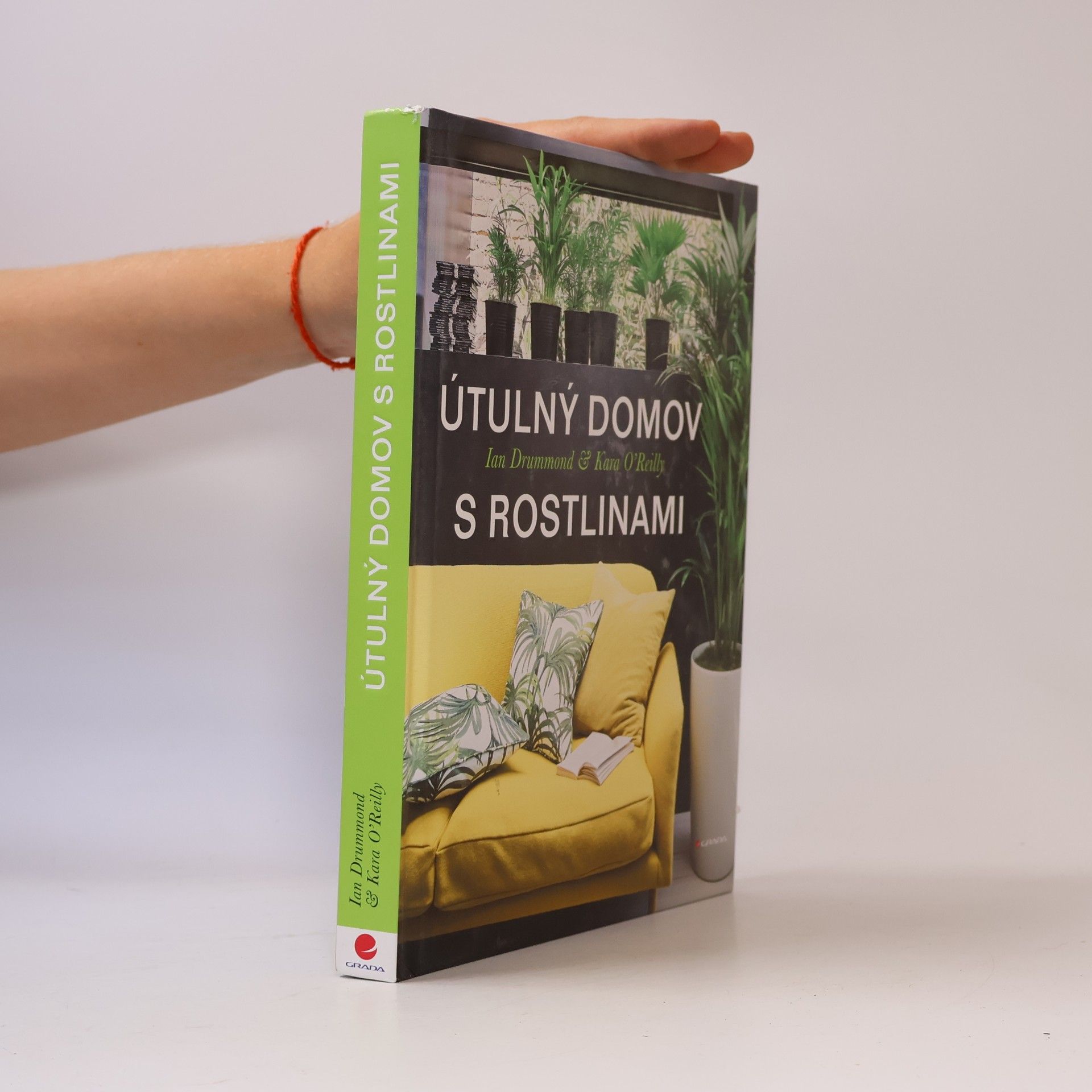 Ian Drummond Útulný domov s rostlinami