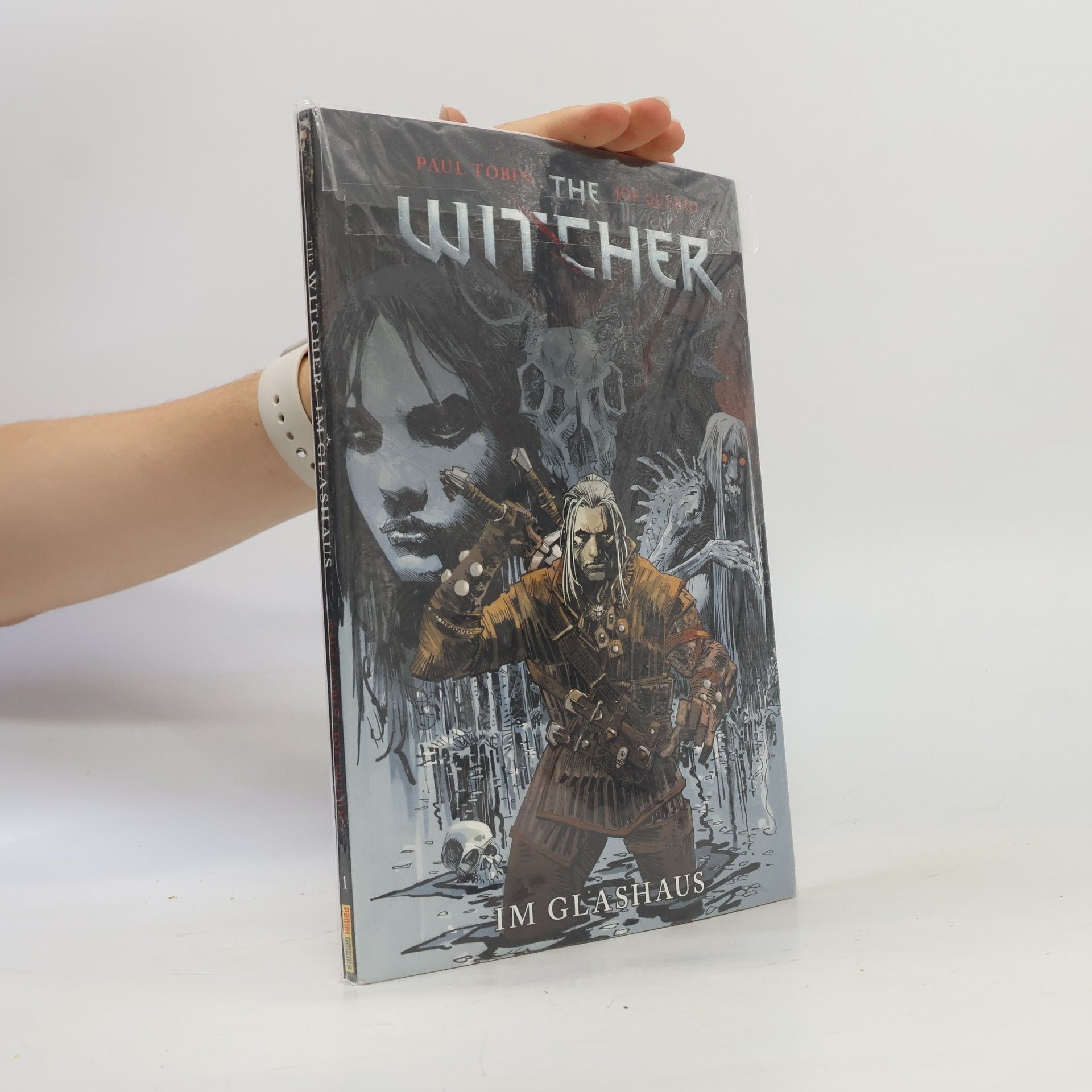 The Witcher