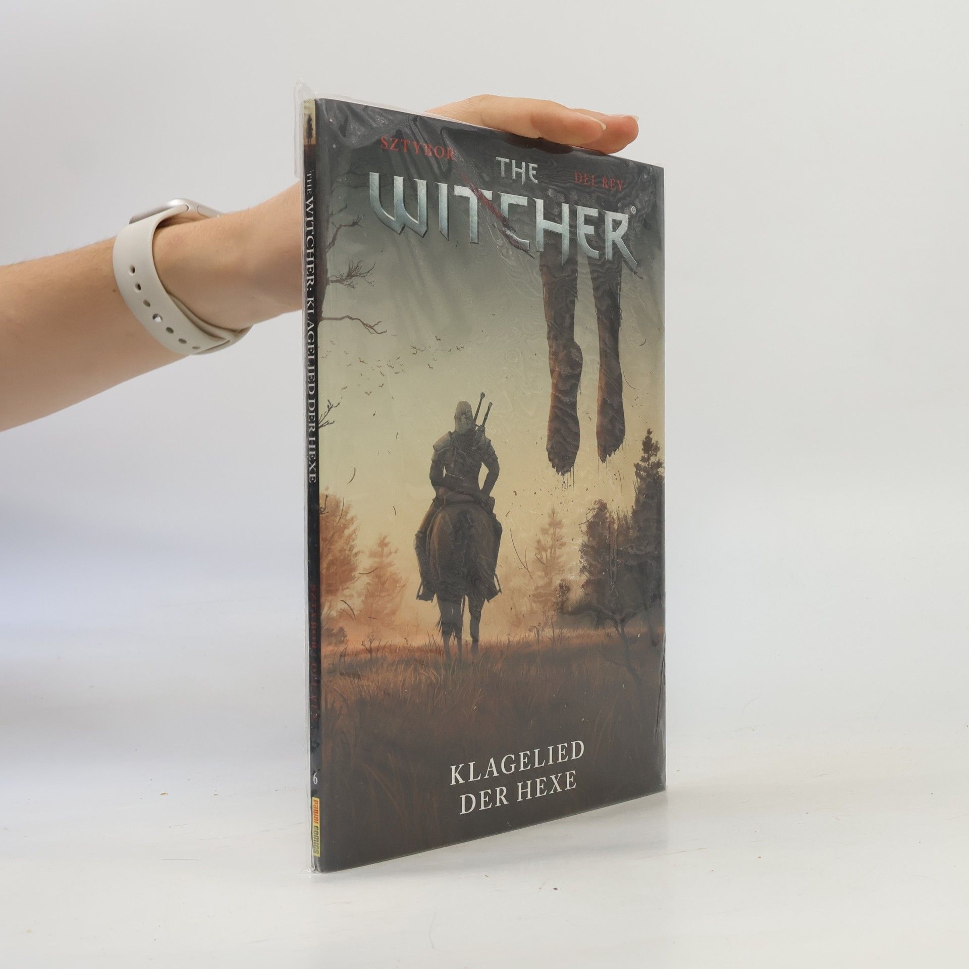 Bartosz Sztybor The Witcher 6. Klagelied der Hexe