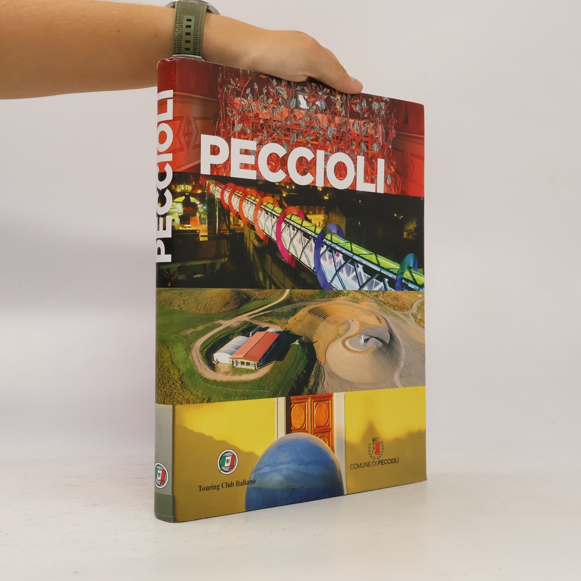Collectif d'auteurs Peccioli