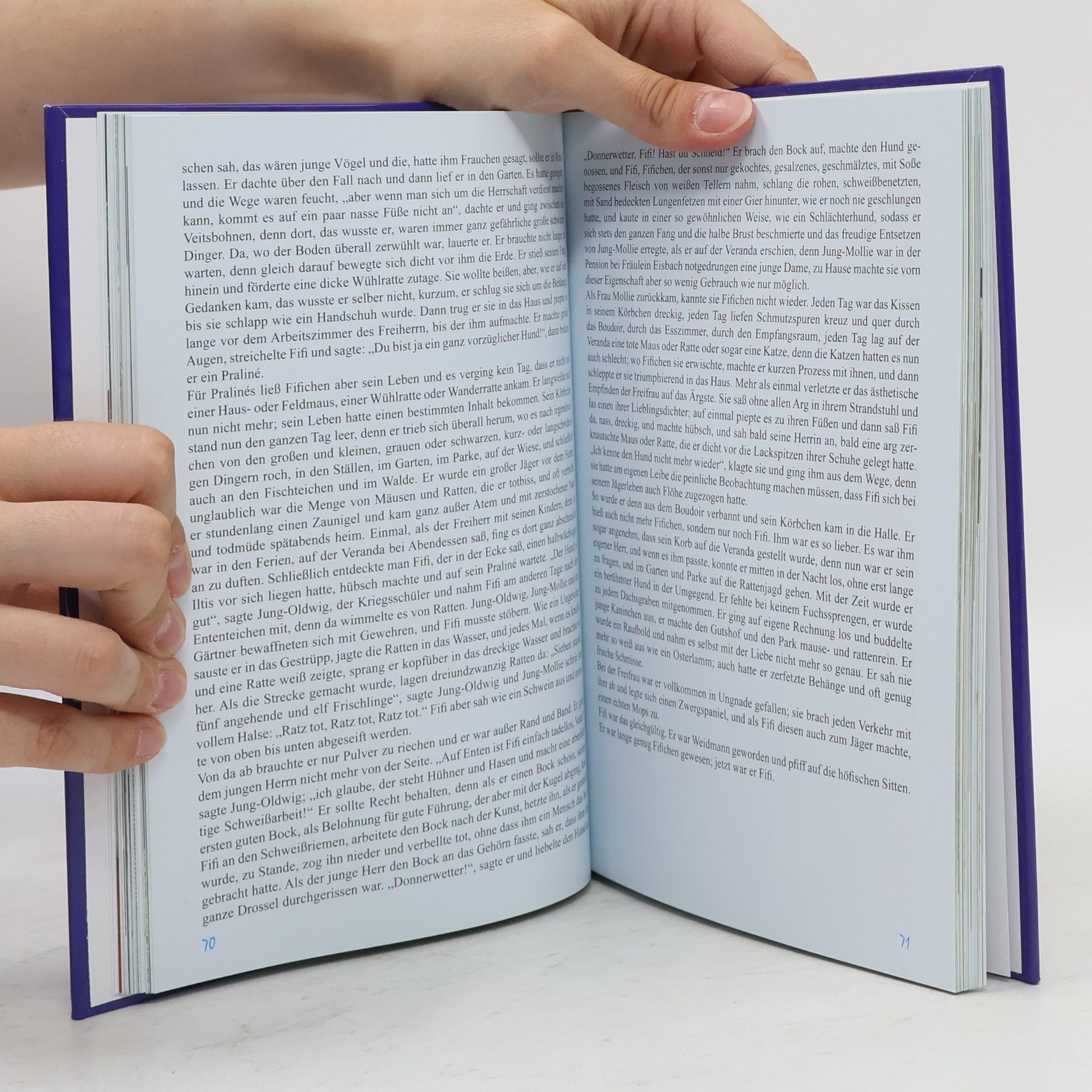 Autorenkollektiv Ein Lesebuch für Hundefreunde
