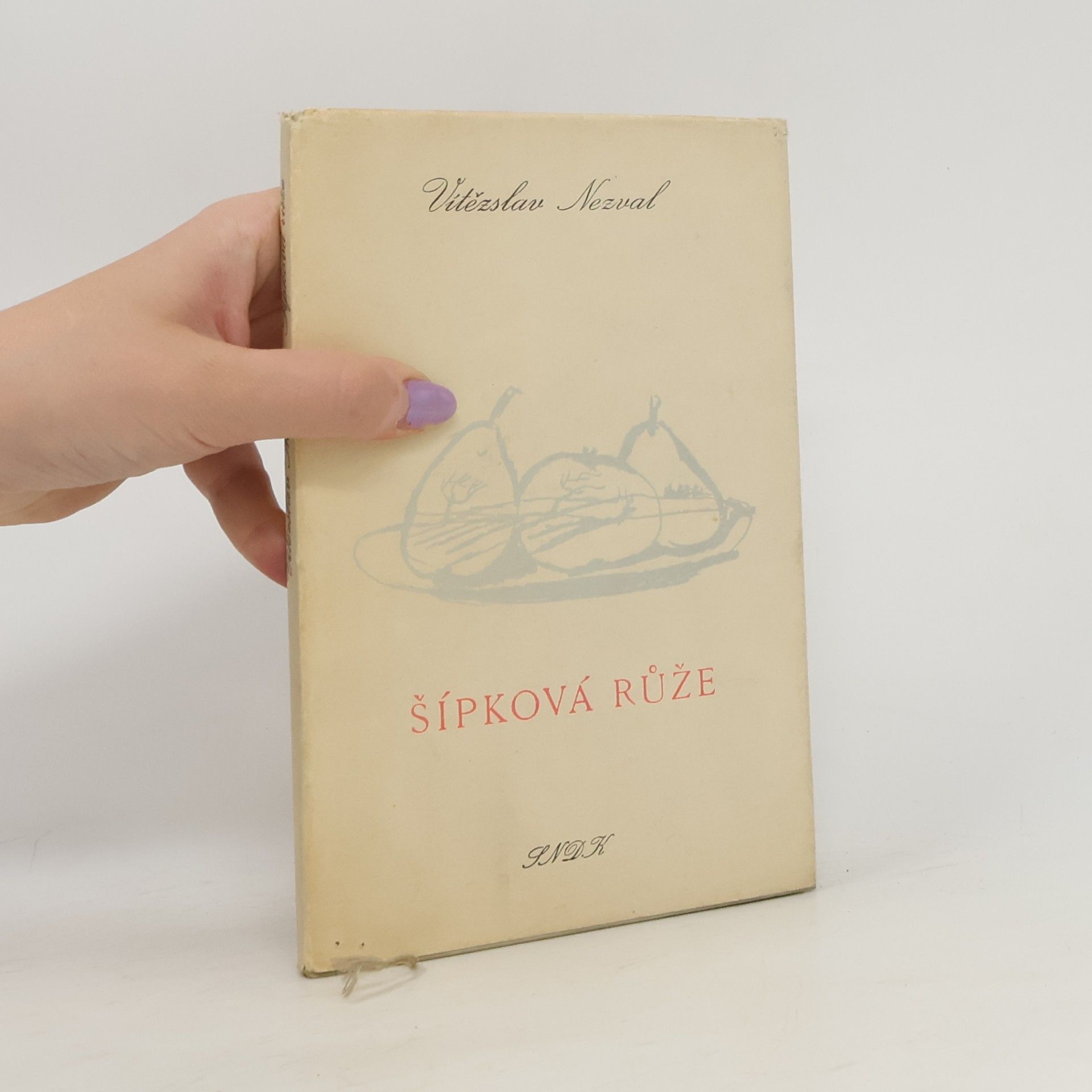 Vítězslav Nezval Šípková růže
