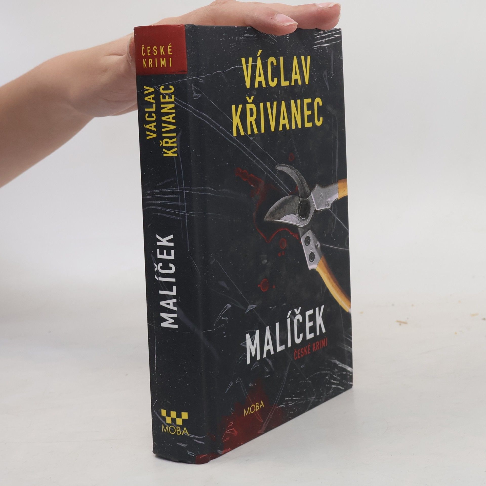 Václav Křivanec Malíček