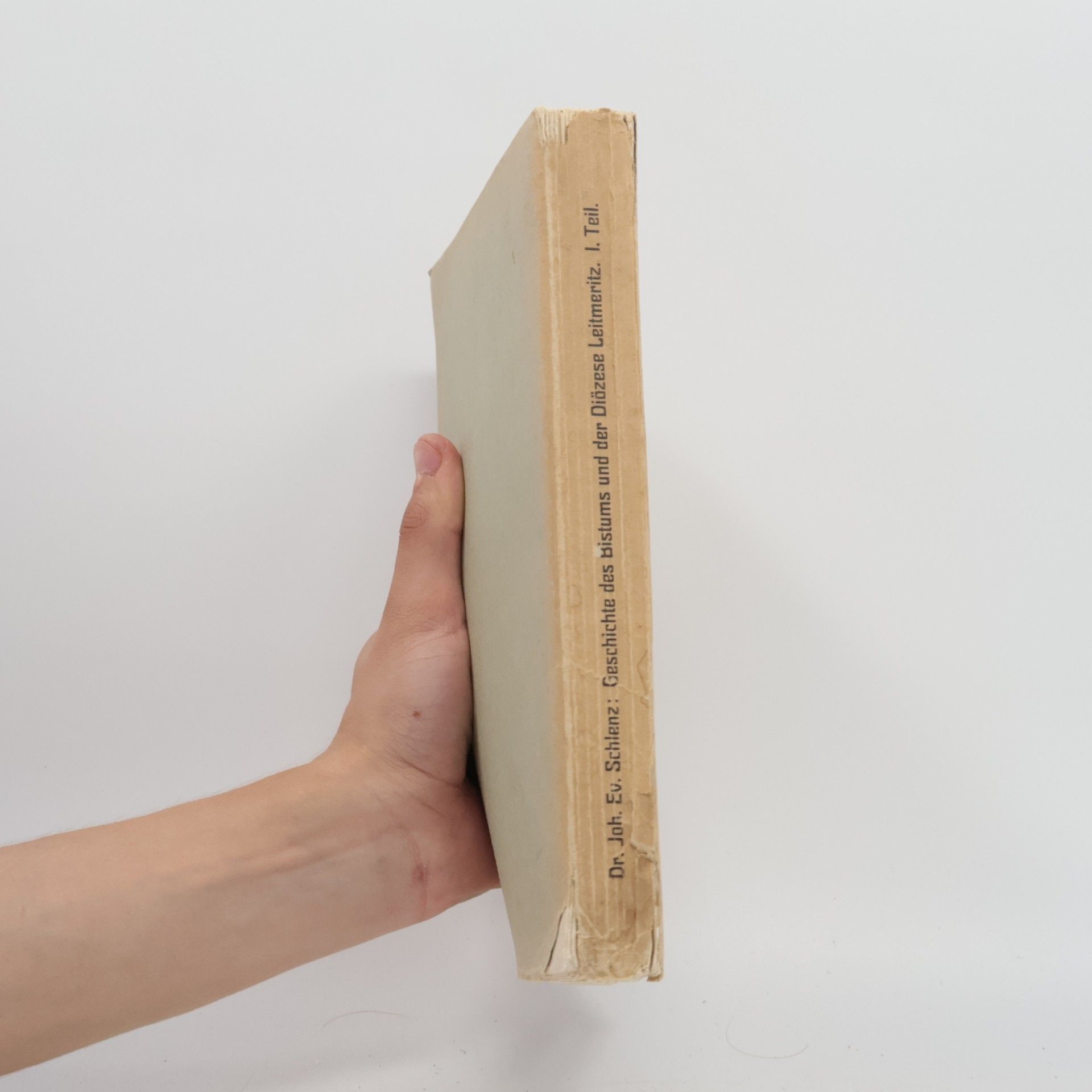Johann Ev. Schlenz Geschichte des Bistums und der Diözese Leitmeritz I