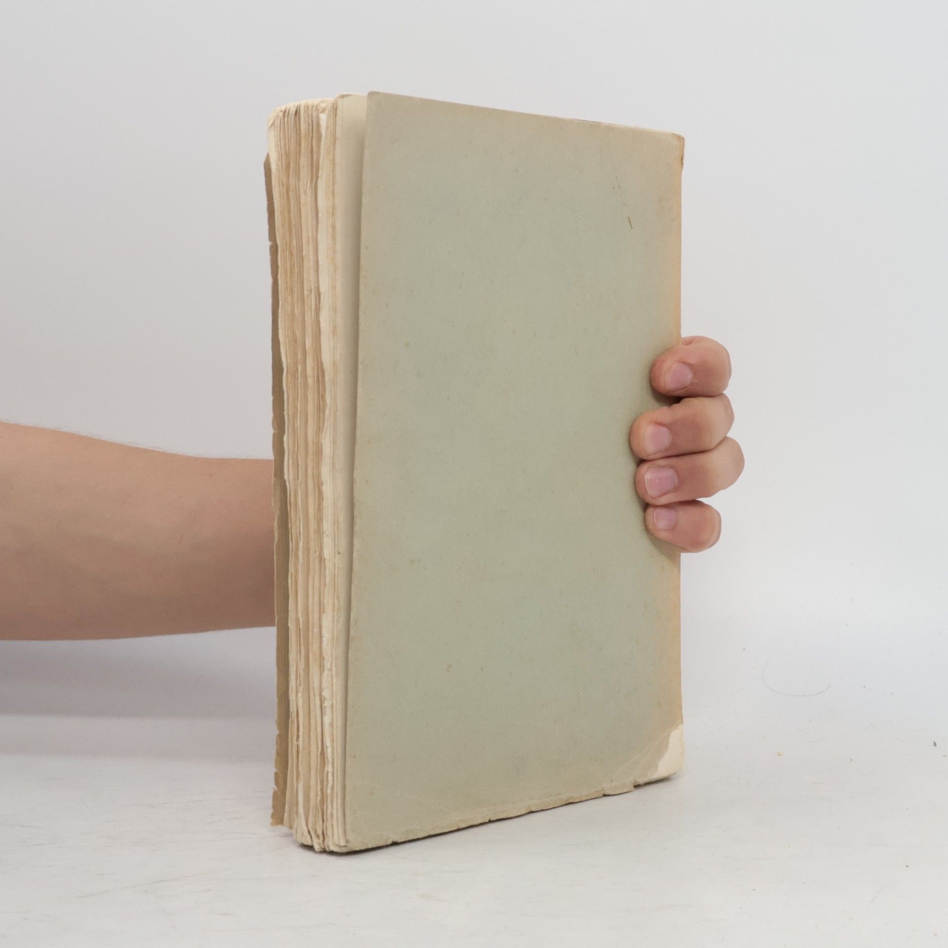 Johann Ev. Schlenz Geschichte des Bistums und der Diözese Leitmeritz I