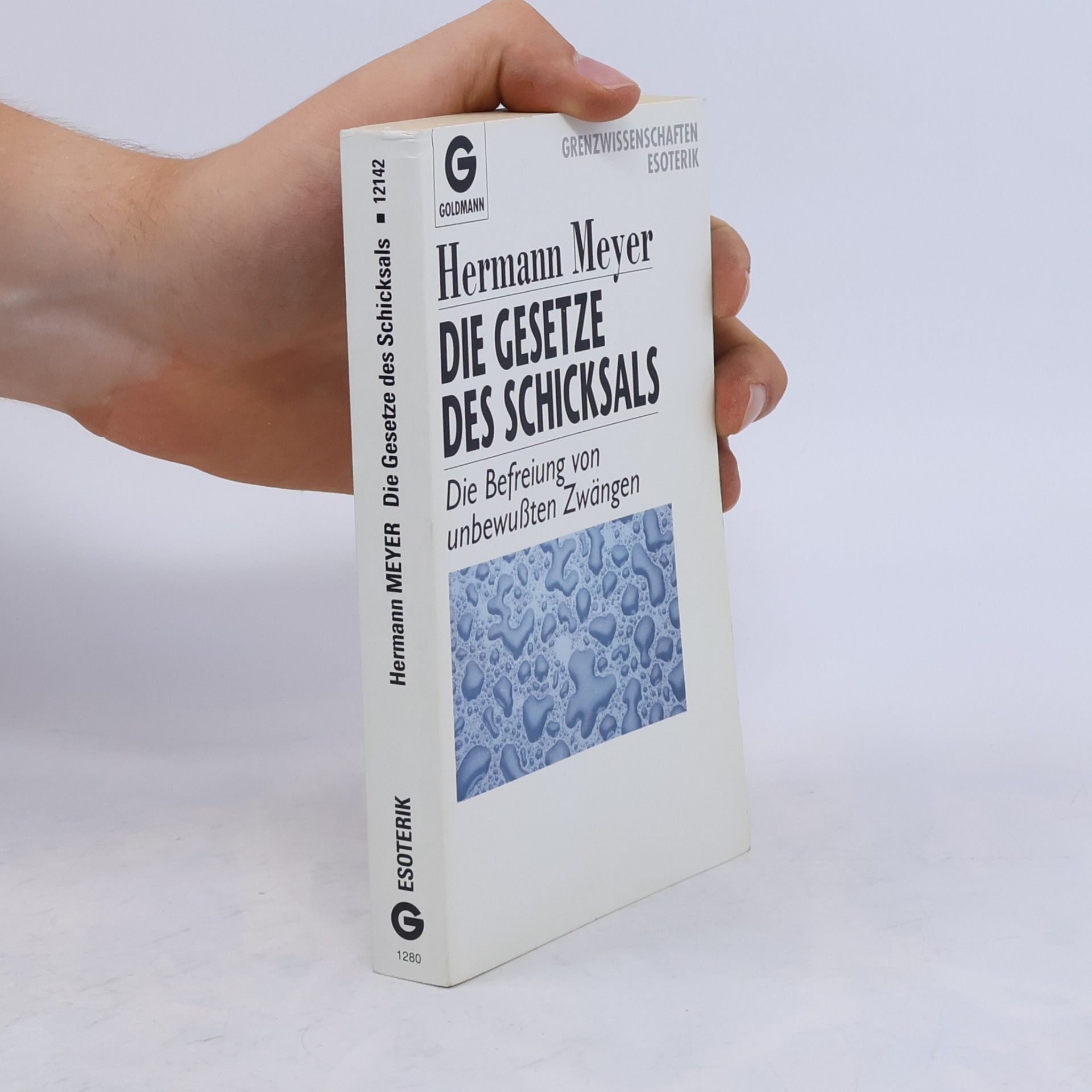 Herman Meyer Die Gesetze des Schicksals