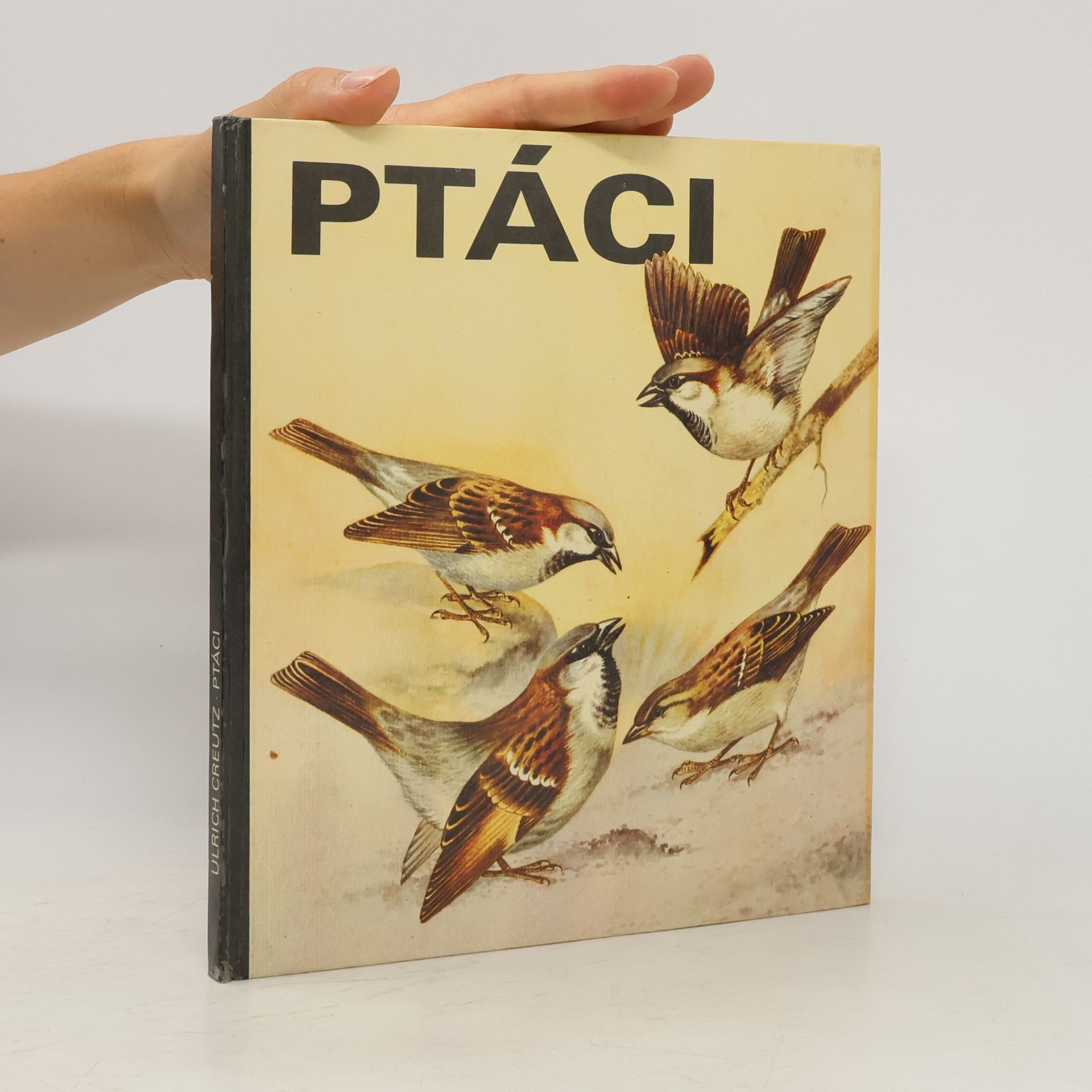 Ulrich Creutz Ptáci