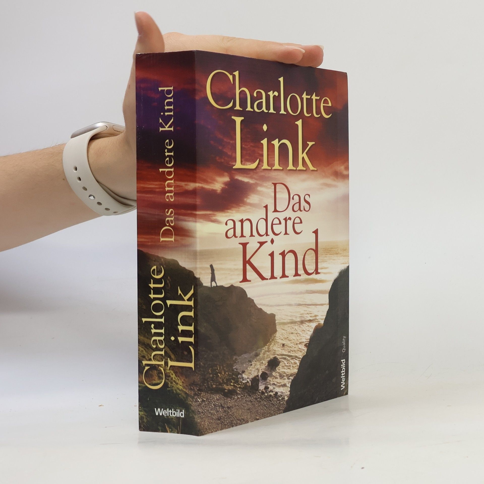 Charlotte Link Das andere Kind