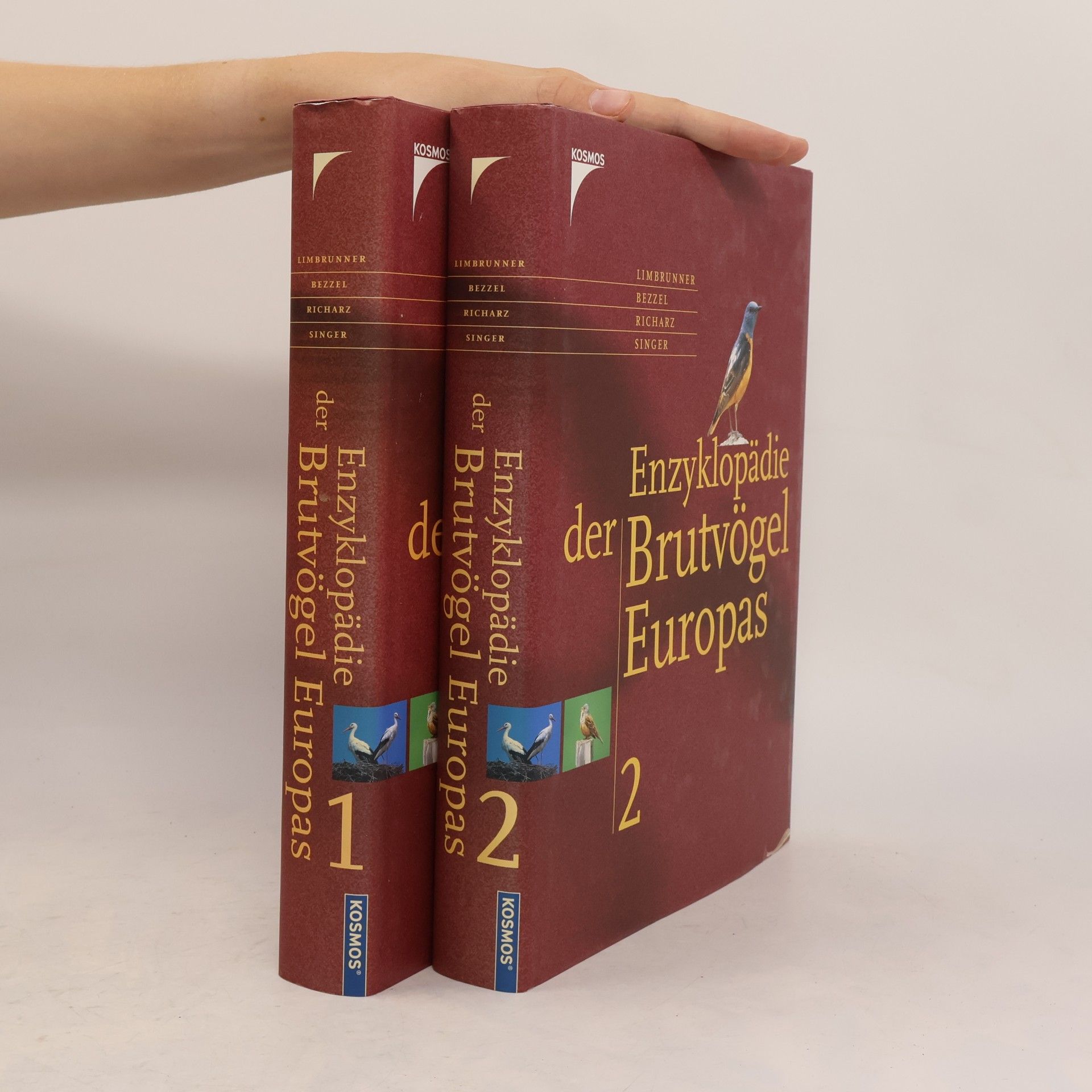 Collectif d'auteurs Enzyklopädie der Brutvögel Europas