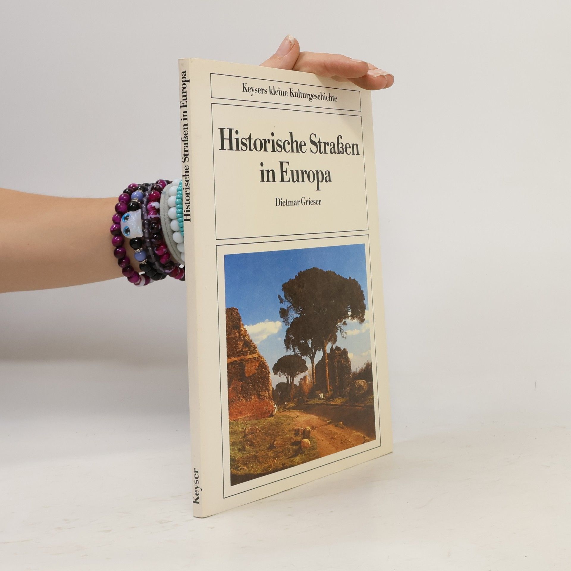 Dietmar Grieser Historische Strassen in Europa