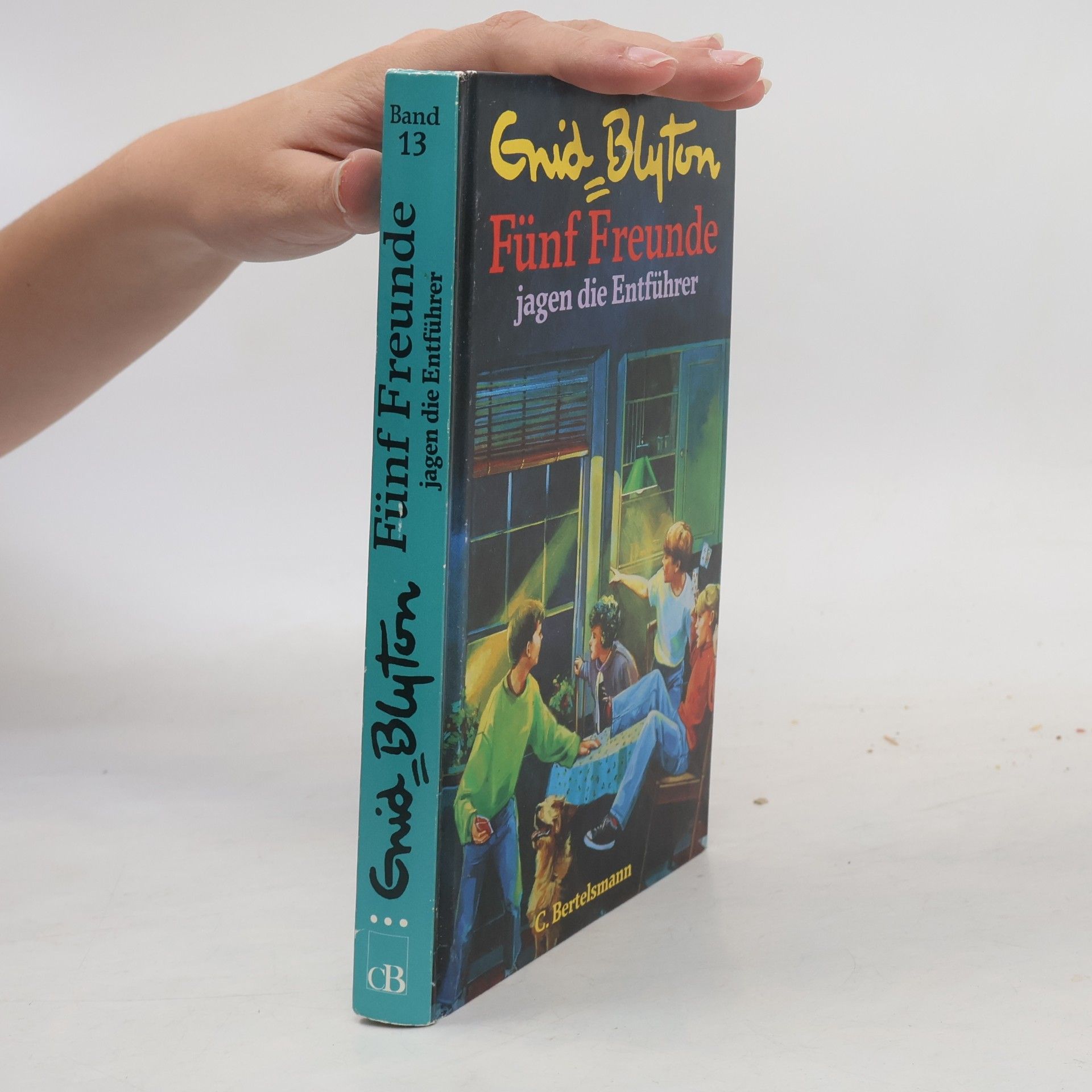 Enid Blyton Fünf Freunde jagen die Entführer
