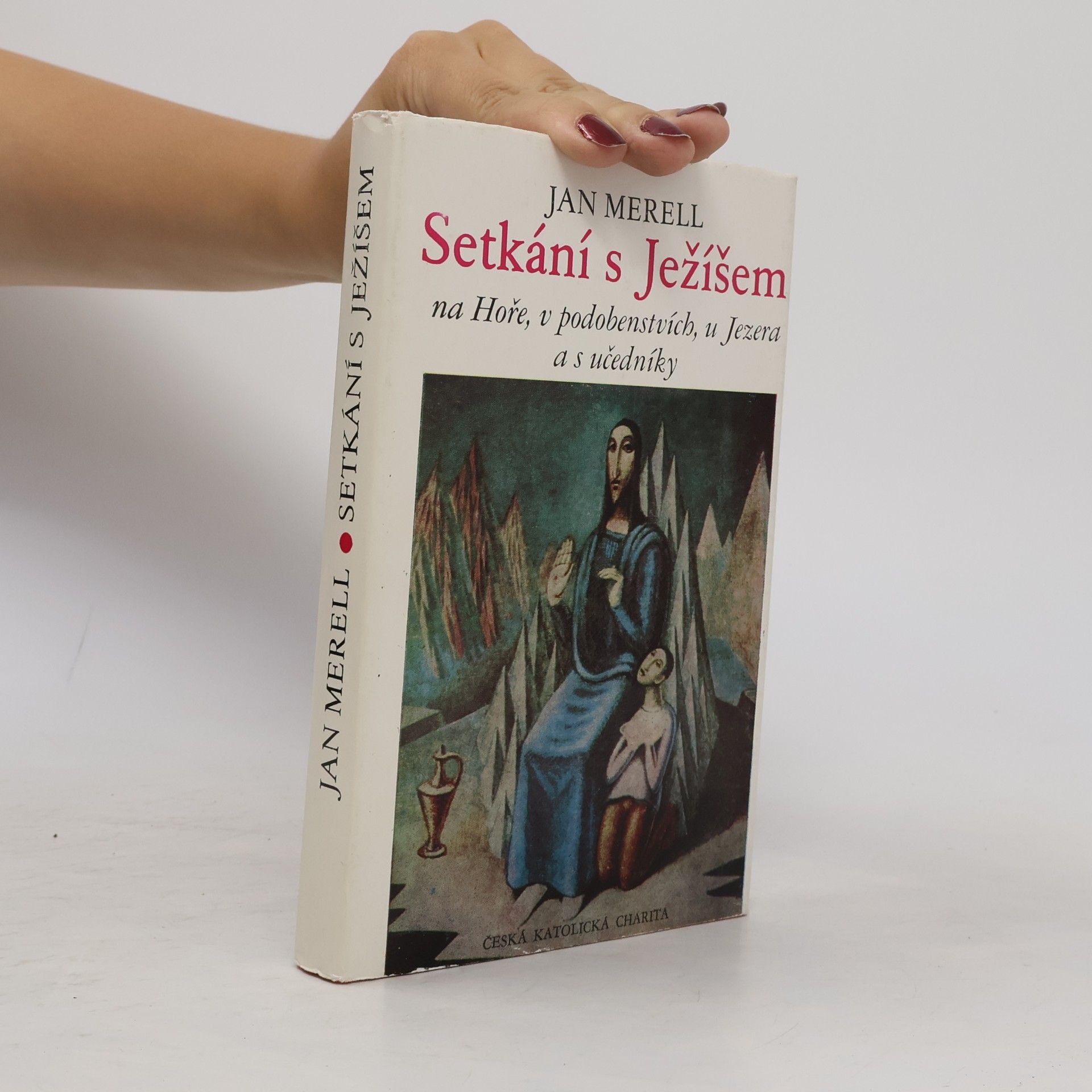 Jan Merell Setkání s Ježíšem na Hoře, v podobenstvích, u Jezera a s učedníky