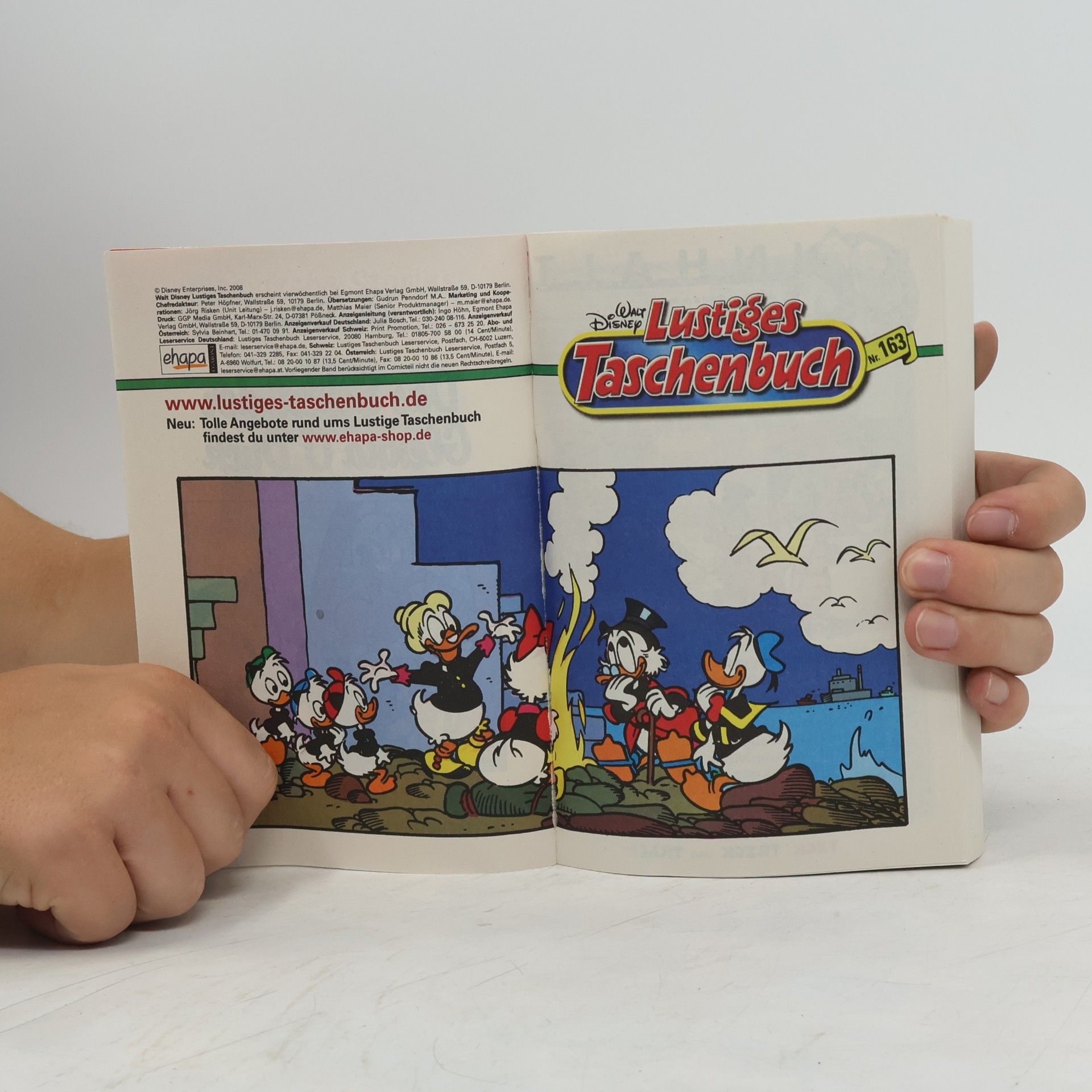 Walt Disney Lustiges Taschenbuch 163. Das Schloss der Glenna O'Duck