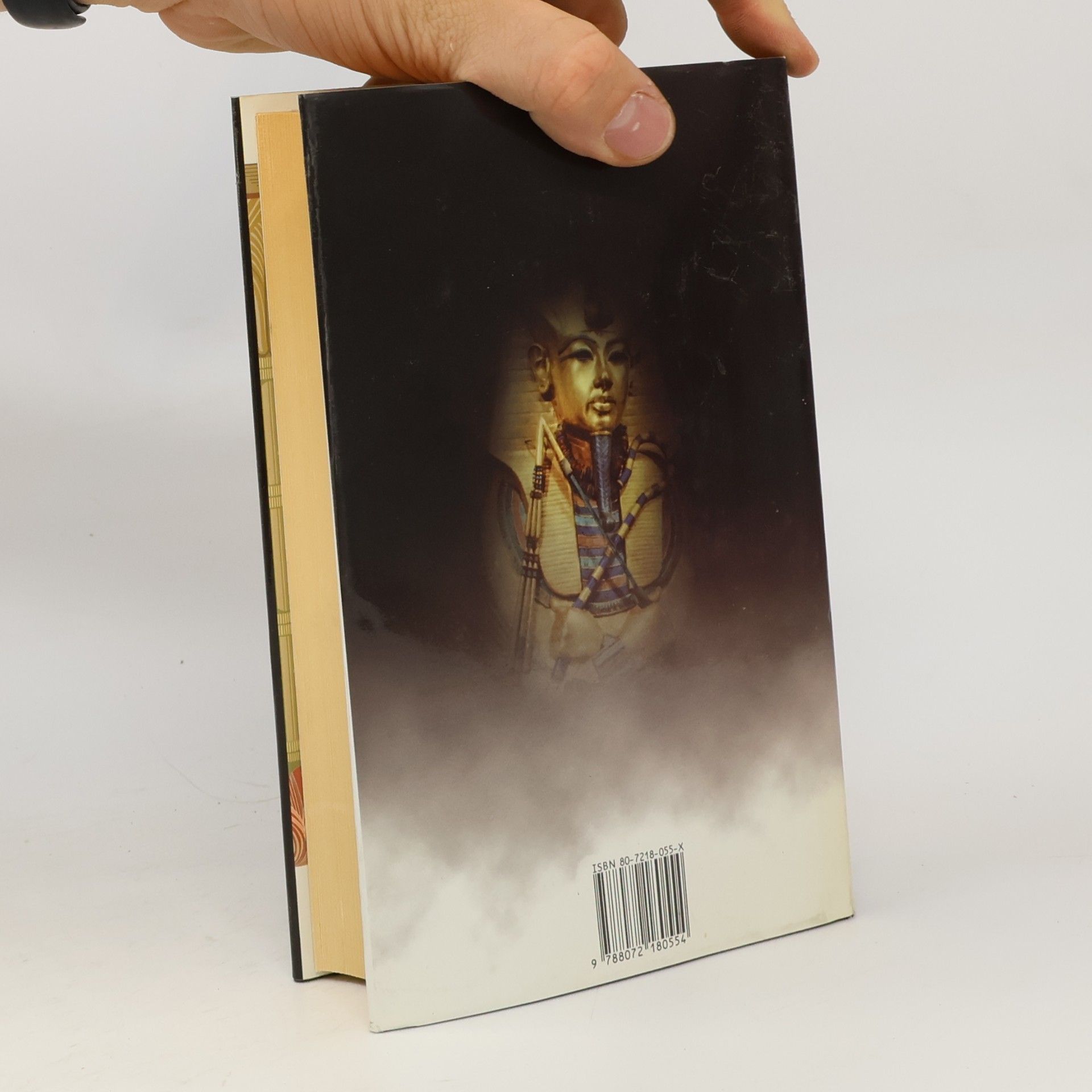 Wilbur Smith Řeka bohů II