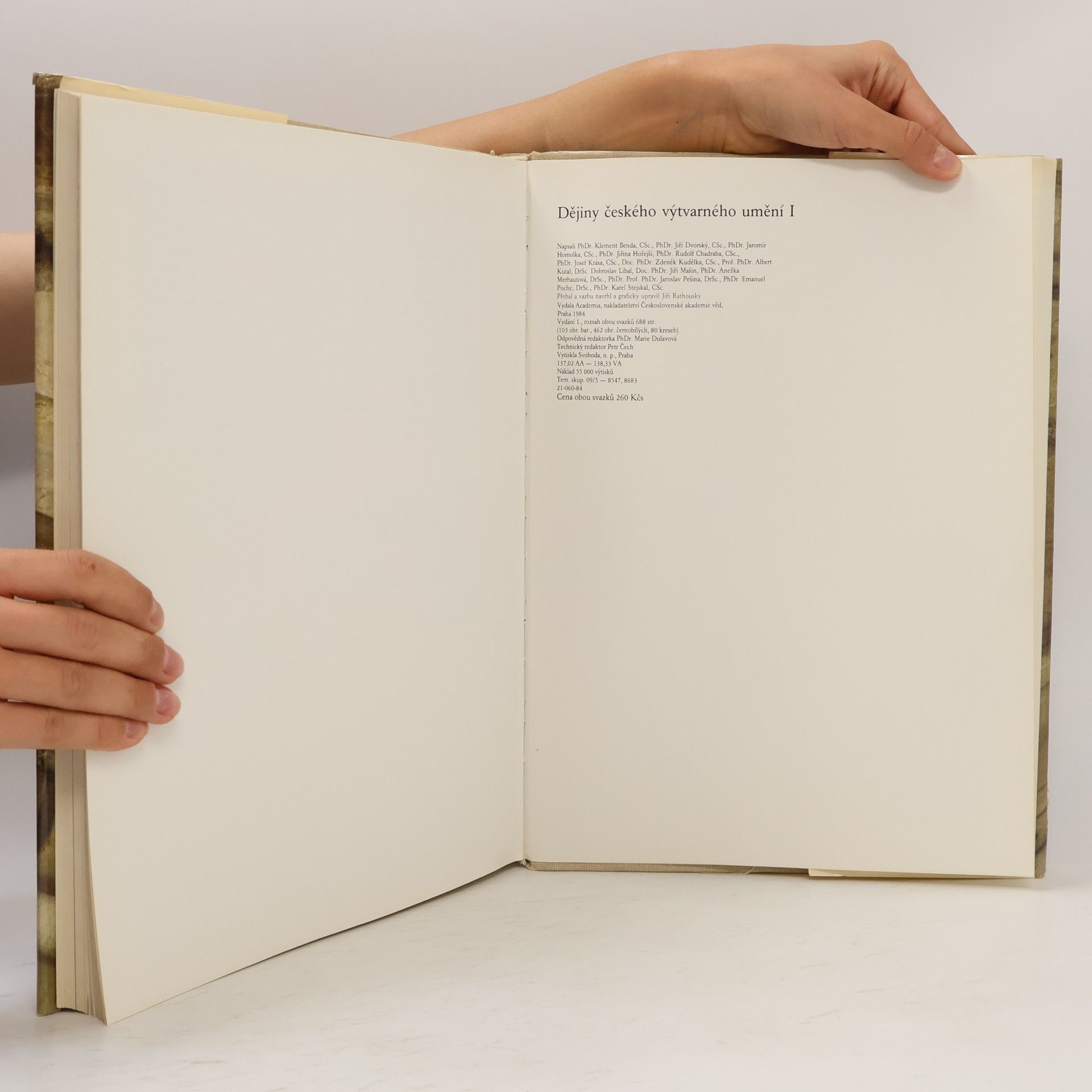 Various authors Dějiny českého výtvarného umění I/2