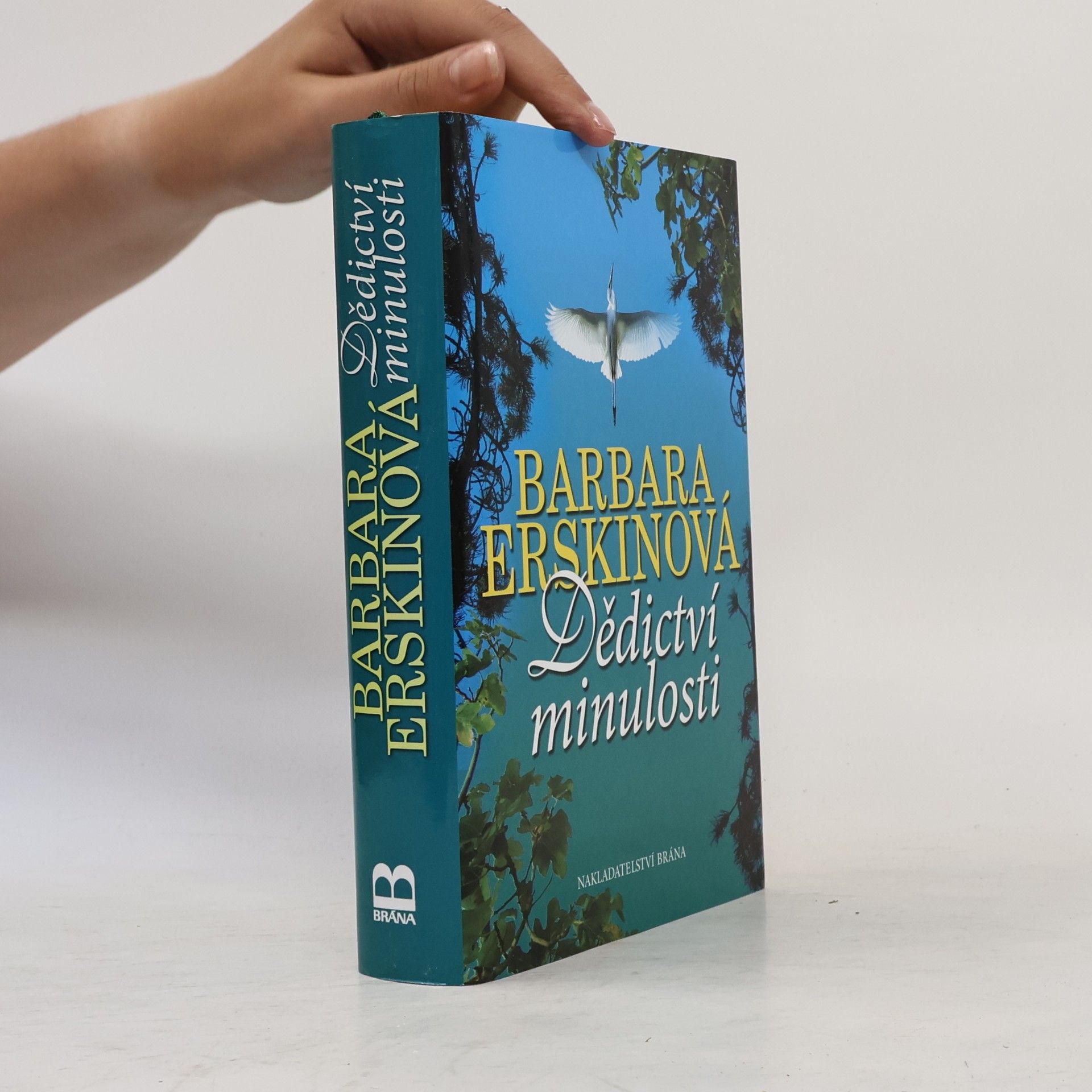 Barbara Erskine Dědictví minulosti
