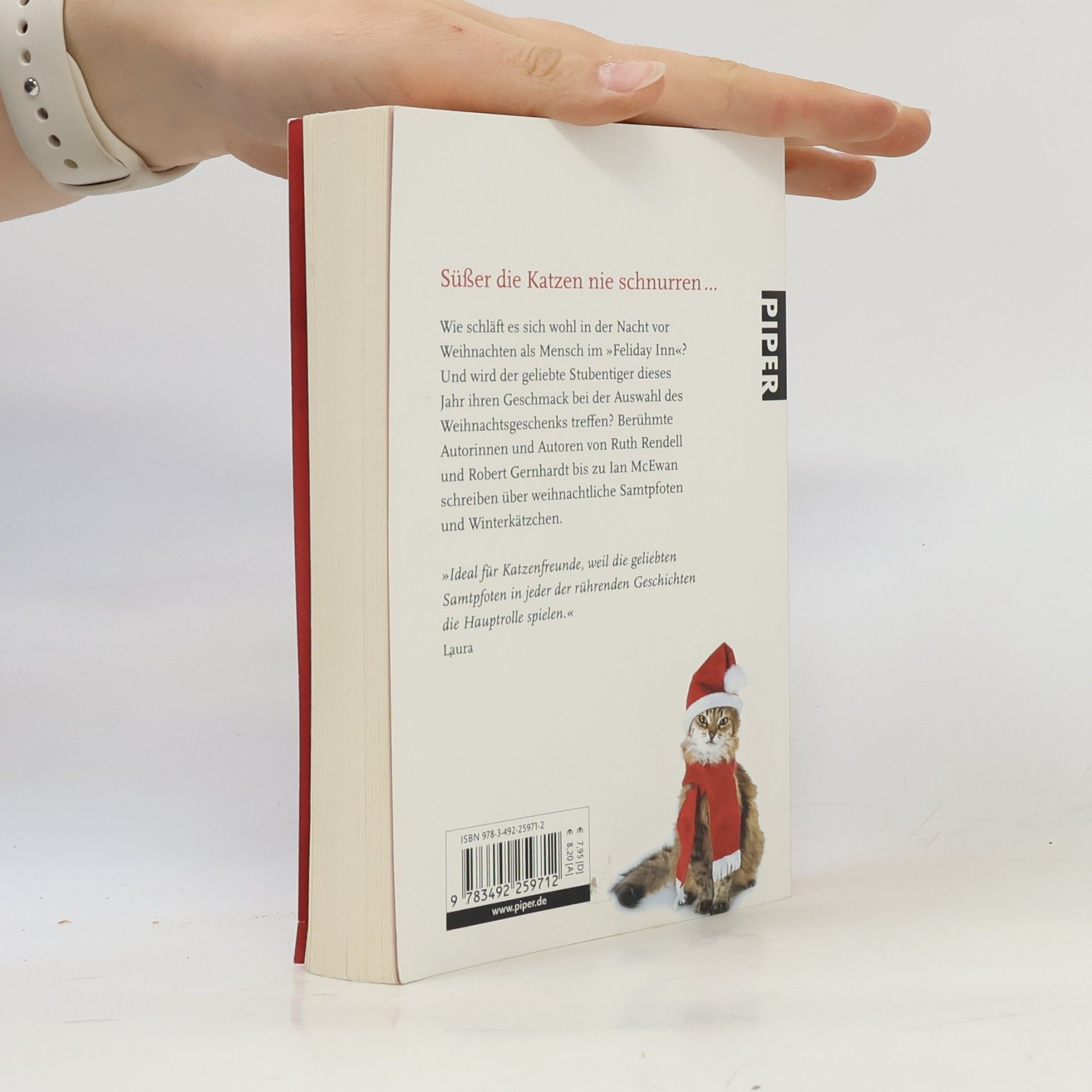 Jone Heer Weihnachtskätzchen