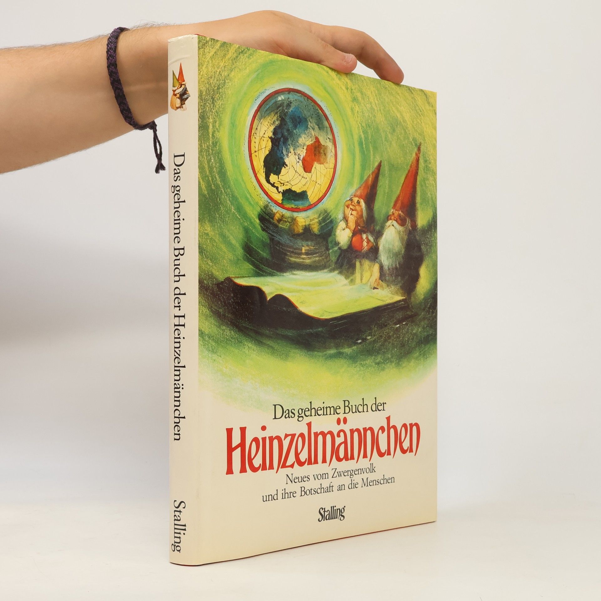 Autorenkollektiv Das geheime Buch der Heinzelmännchen