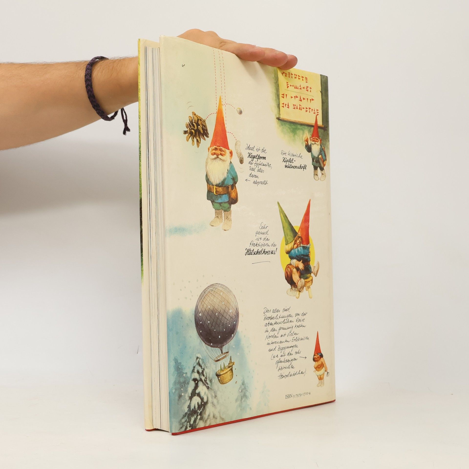 Autorenkollektiv Das geheime Buch der Heinzelmännchen