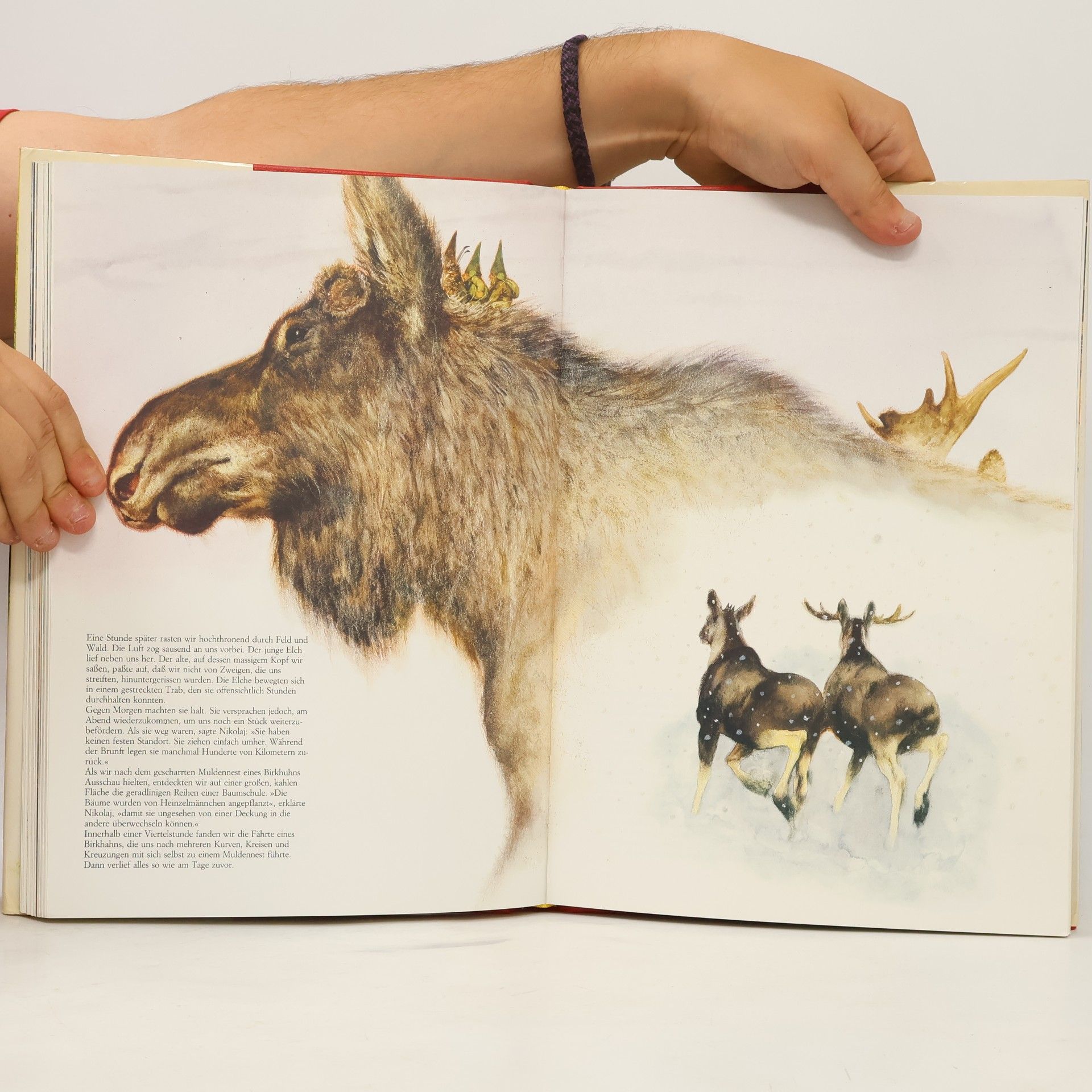 Autorenkollektiv Das geheime Buch der Heinzelmännchen