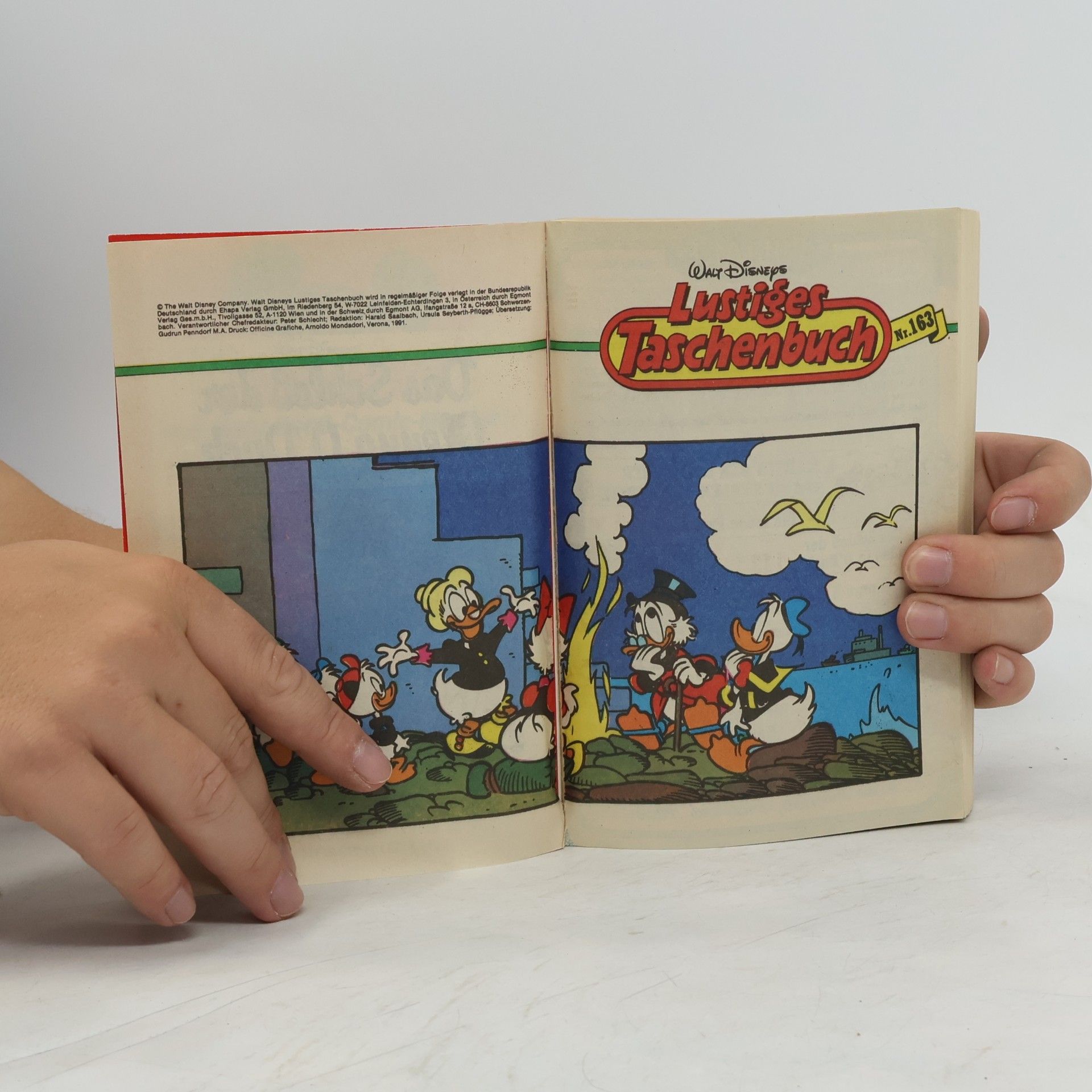 Walt Disney Lustiges Taschenbuch 163: Das Schloß der Glenna O'Duck