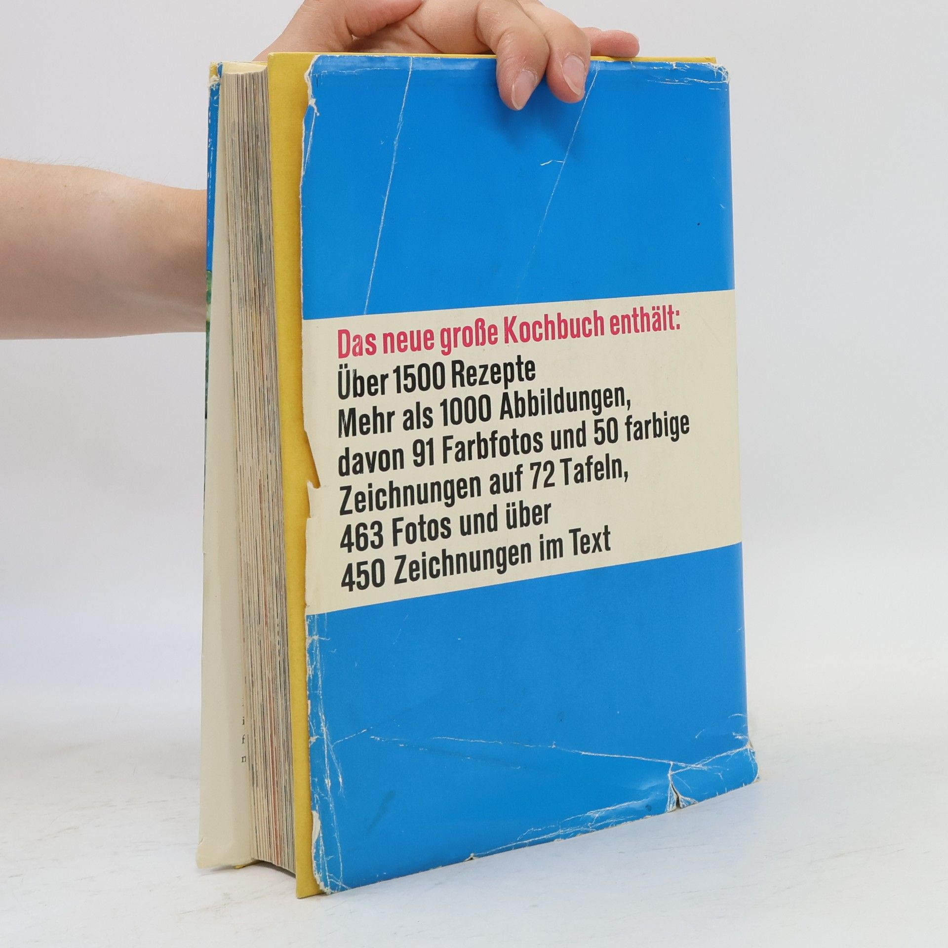 Various authors Das neue große Kochbuch