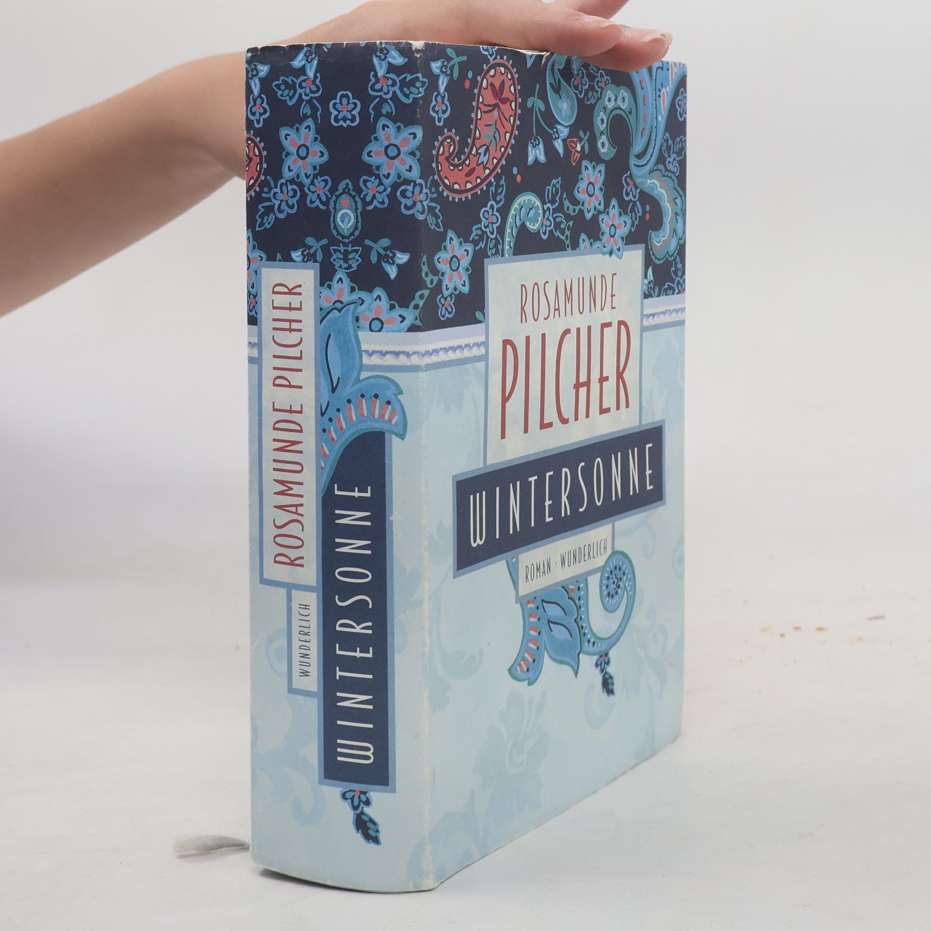 Rosamunde Pilcher Wintersonne
