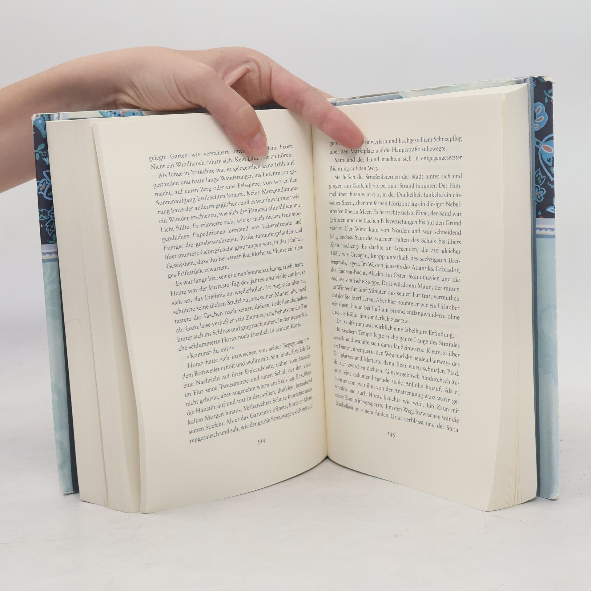 Rosamunde Pilcher Wintersonne