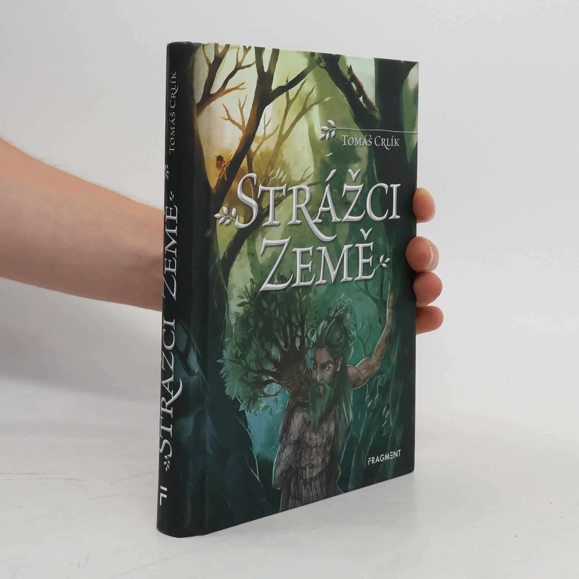 Ergall Strážci Země