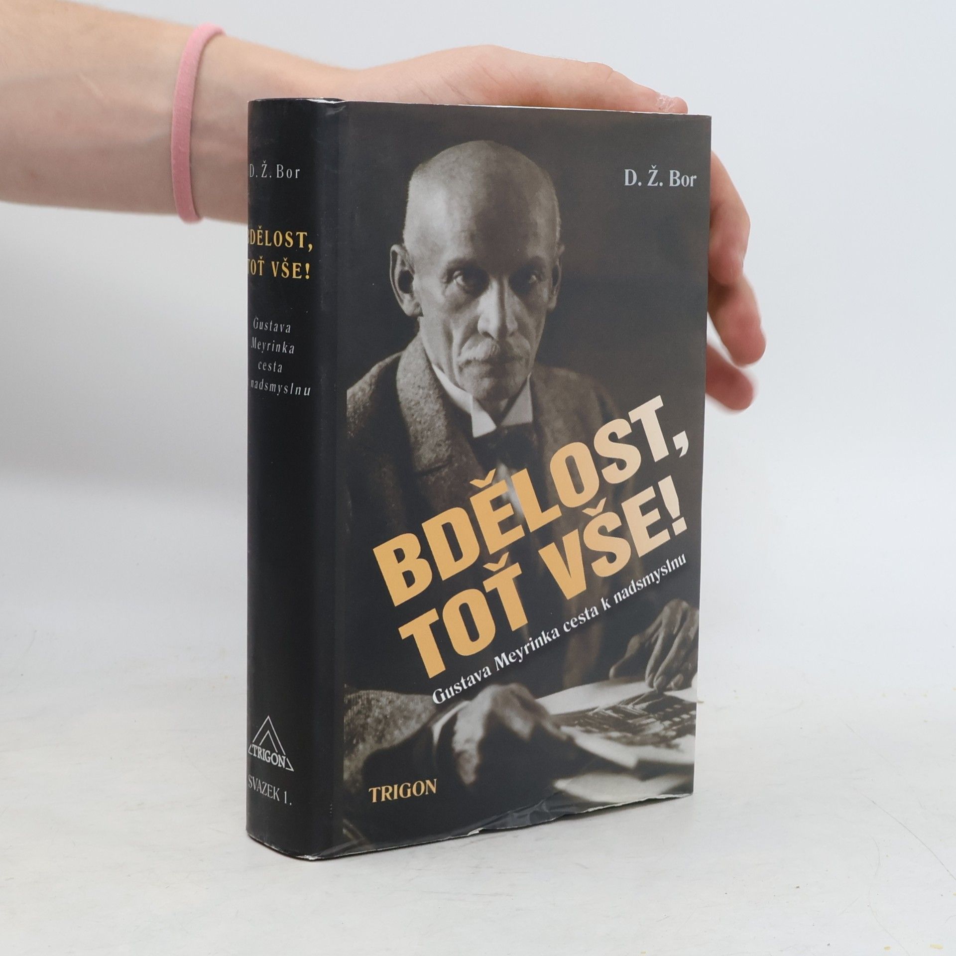 Bdělost, toť vše! : cesta Gustava Meyrinka k nadsmyslnu
