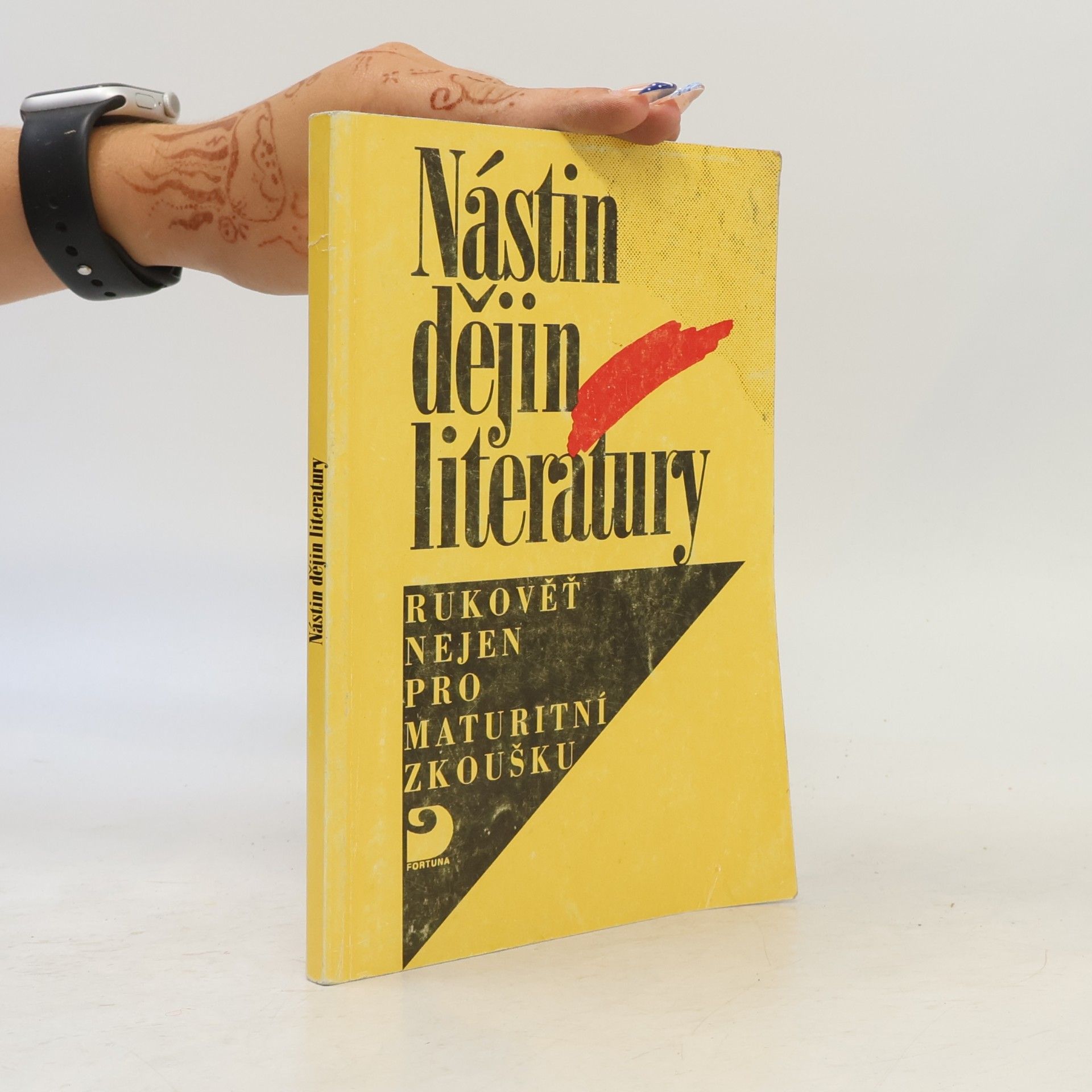 Richard W. Fetter Nástin dějin literatury : rukověť nejen pro maturitní zkoušku