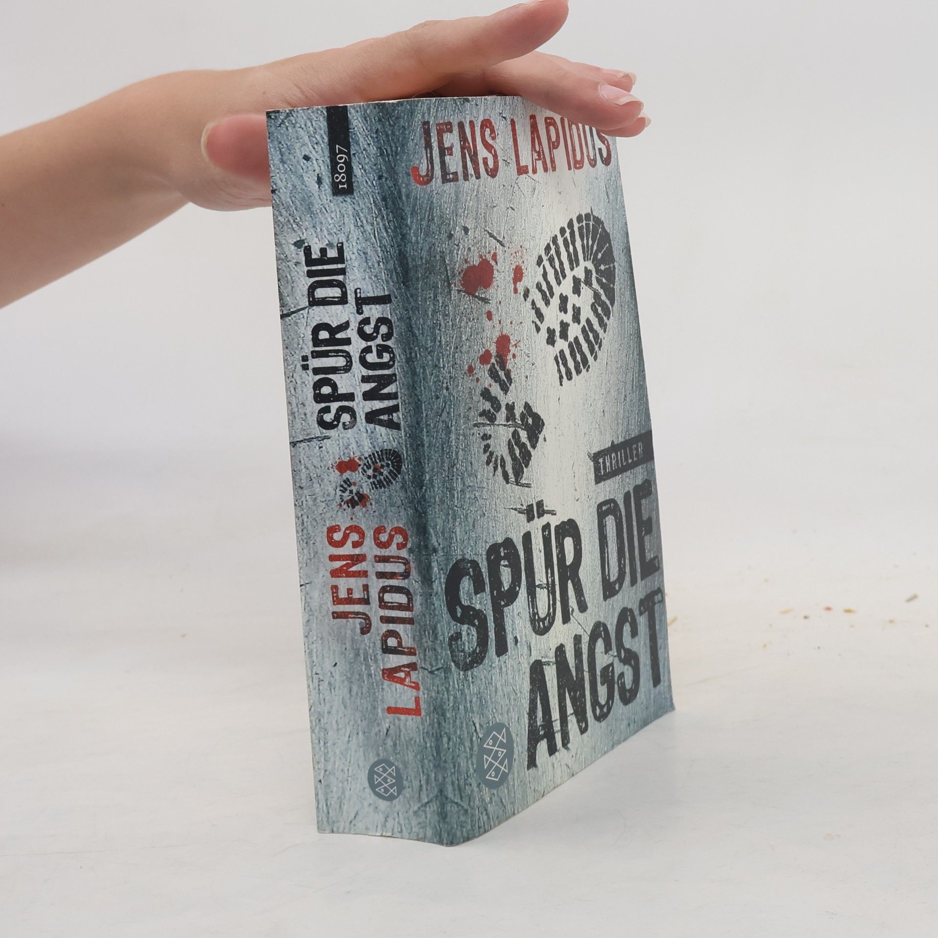 Jens Lapidus Spür die Angst