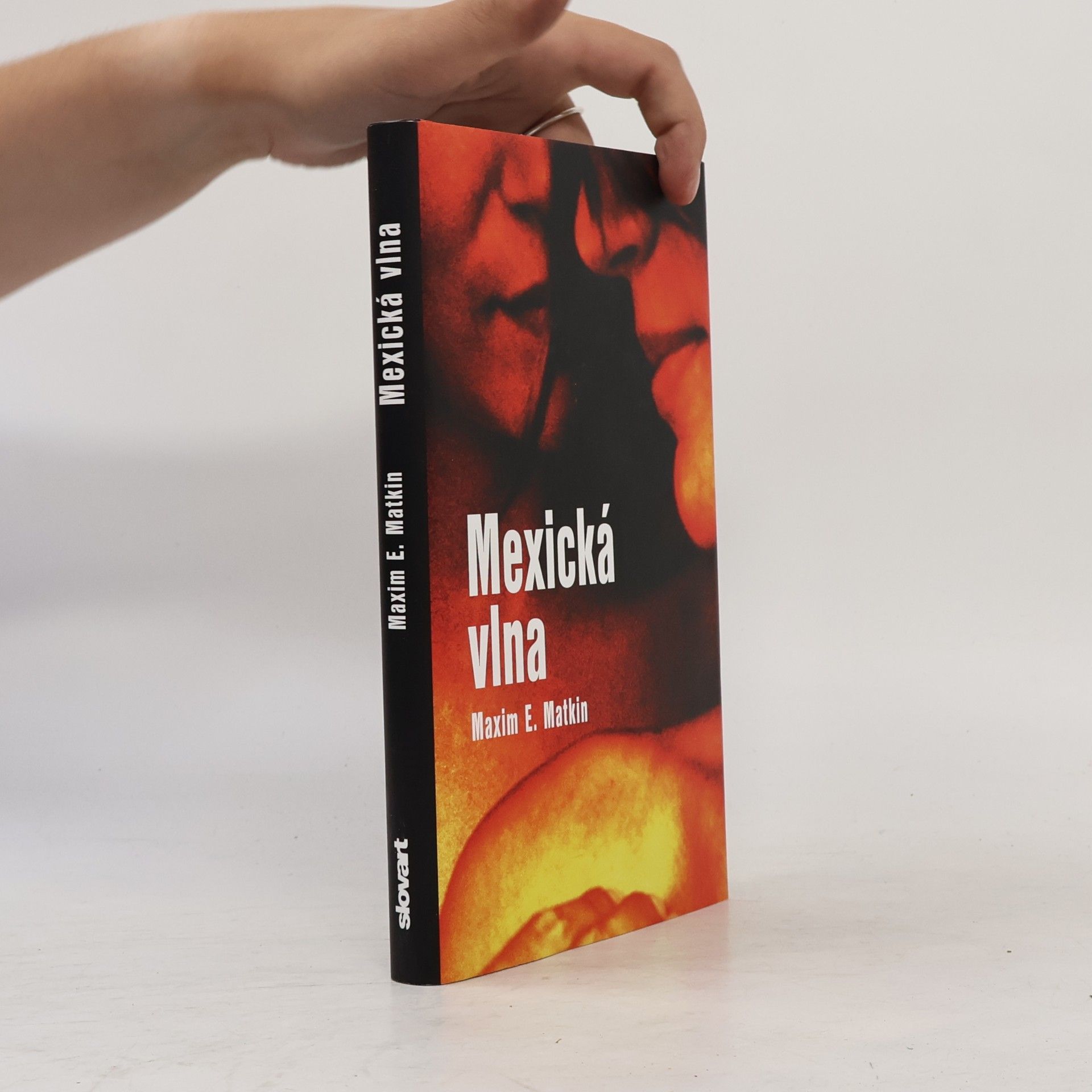 Maxim E. Matkin Mexická vlna