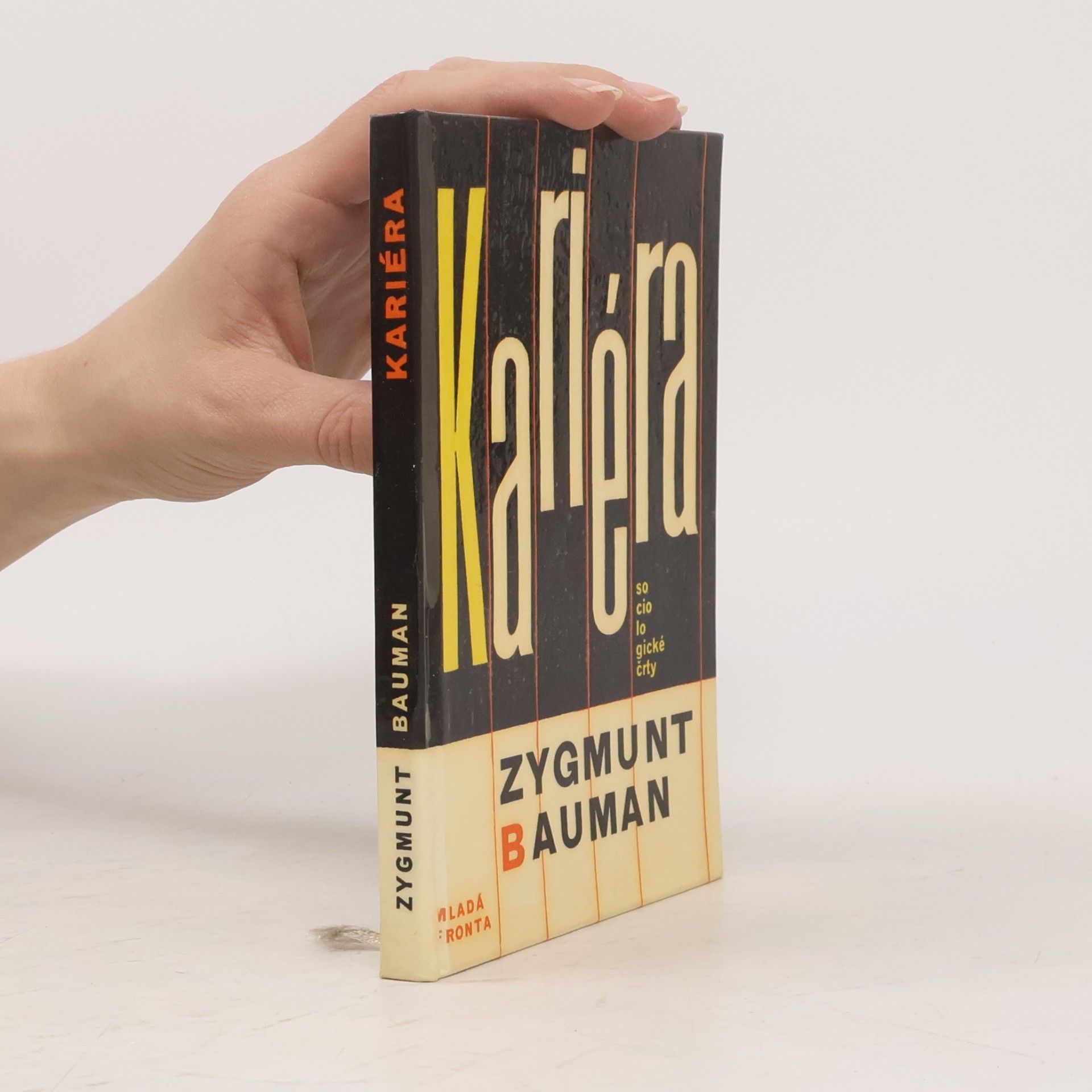 Zygmunt Bauman Kariéra