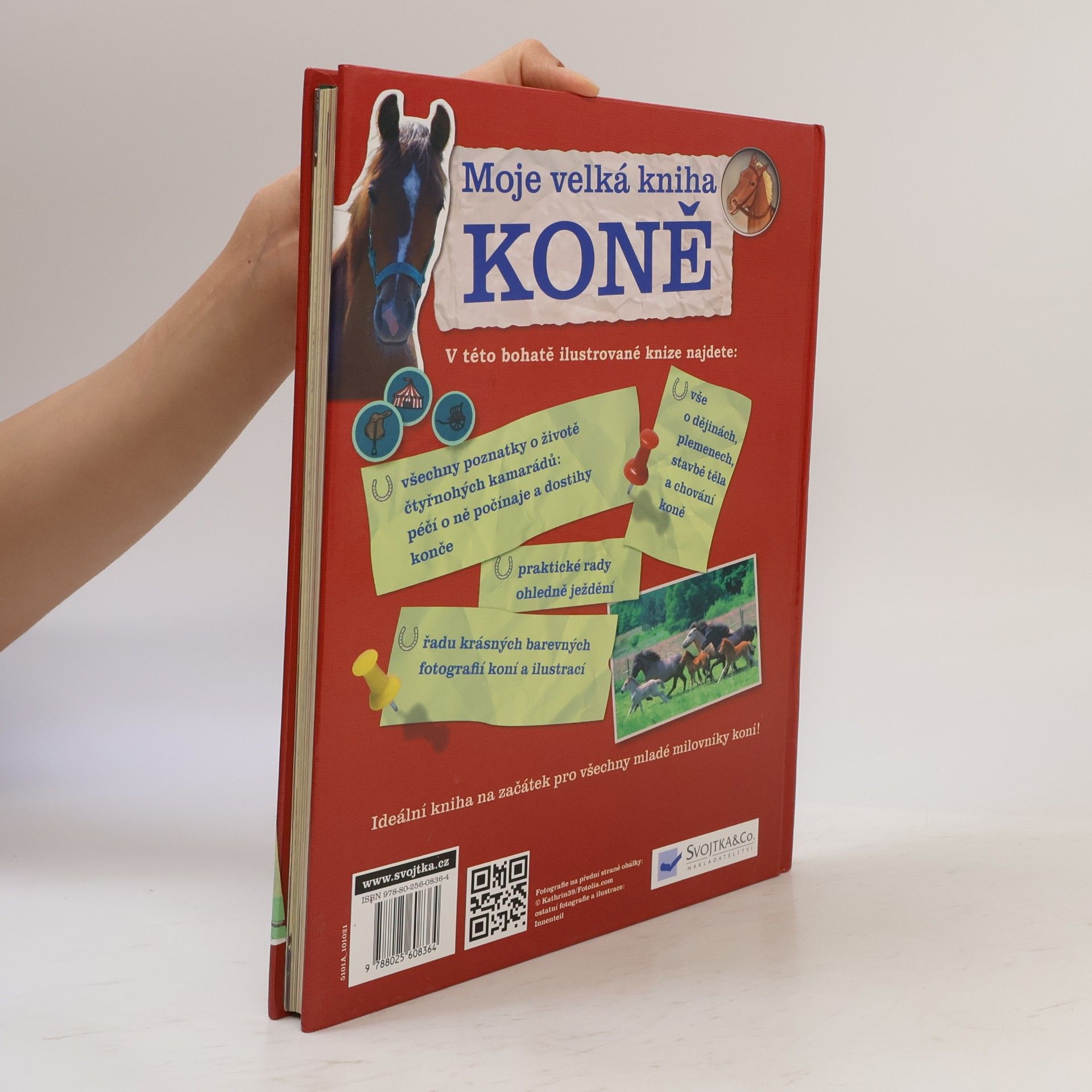 Giada Riondino Moje velká kniha: Koně