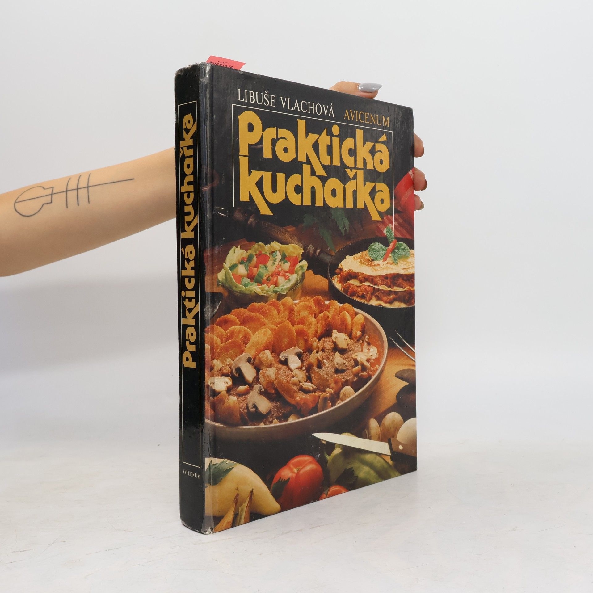 Libuše Vlachová Praktická kuchařka