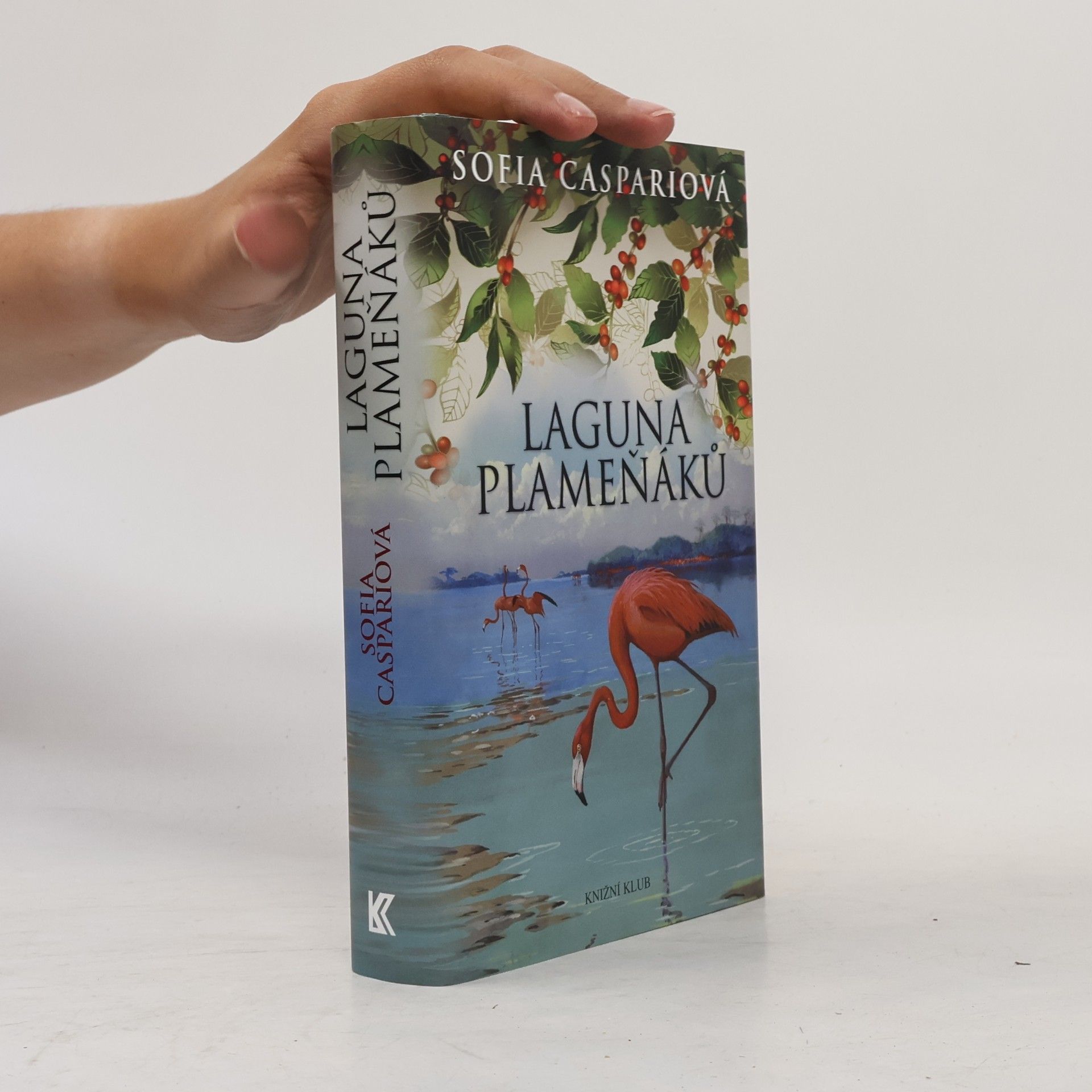 Sofia Caspari Laguna plameňáků