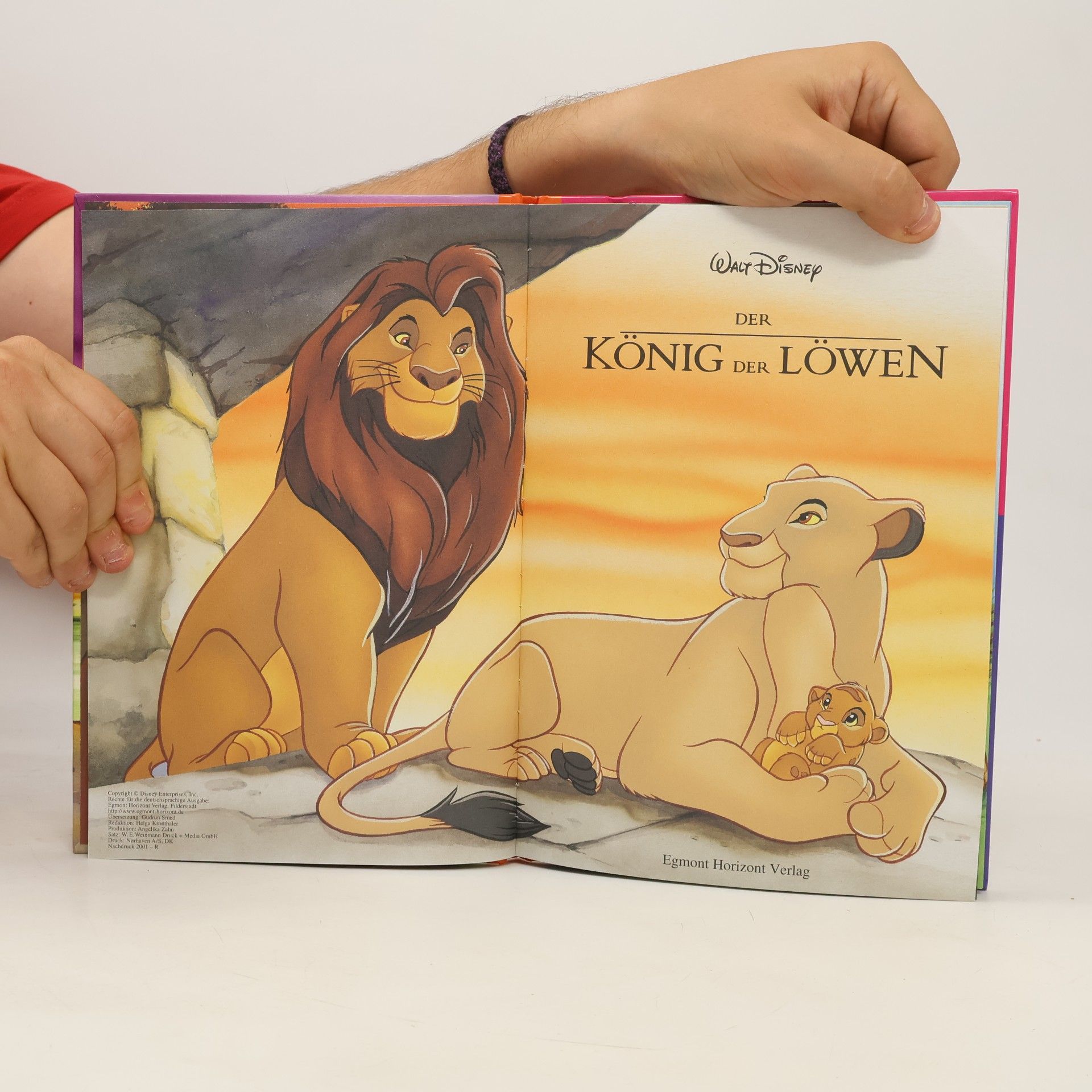Various authors König der Löwen