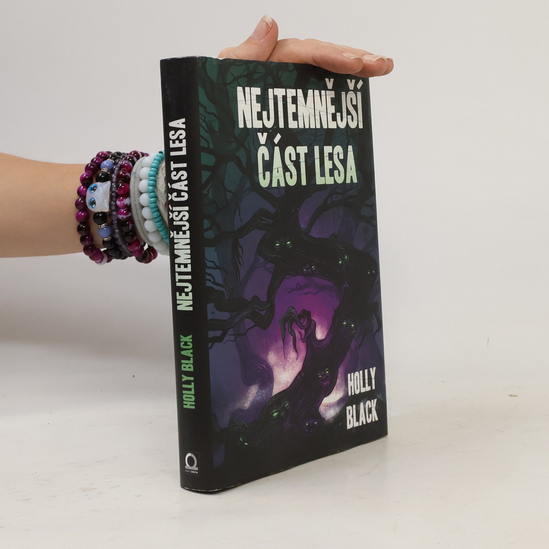 Holly Black Nejtemnější část lesa