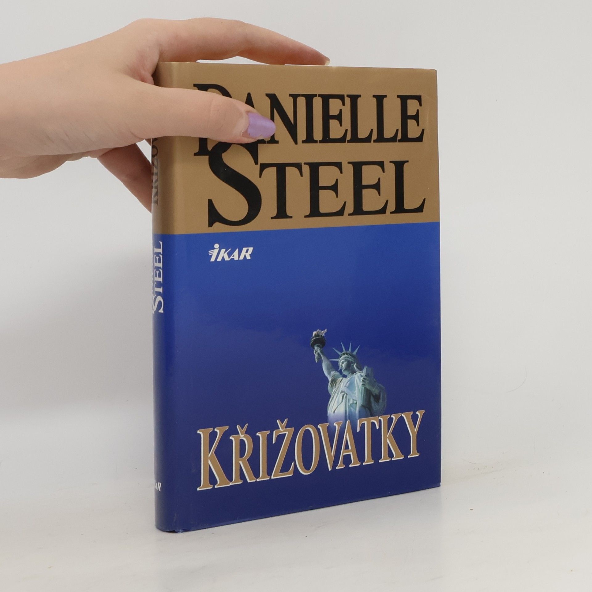 Danielle Steel Křižovatky