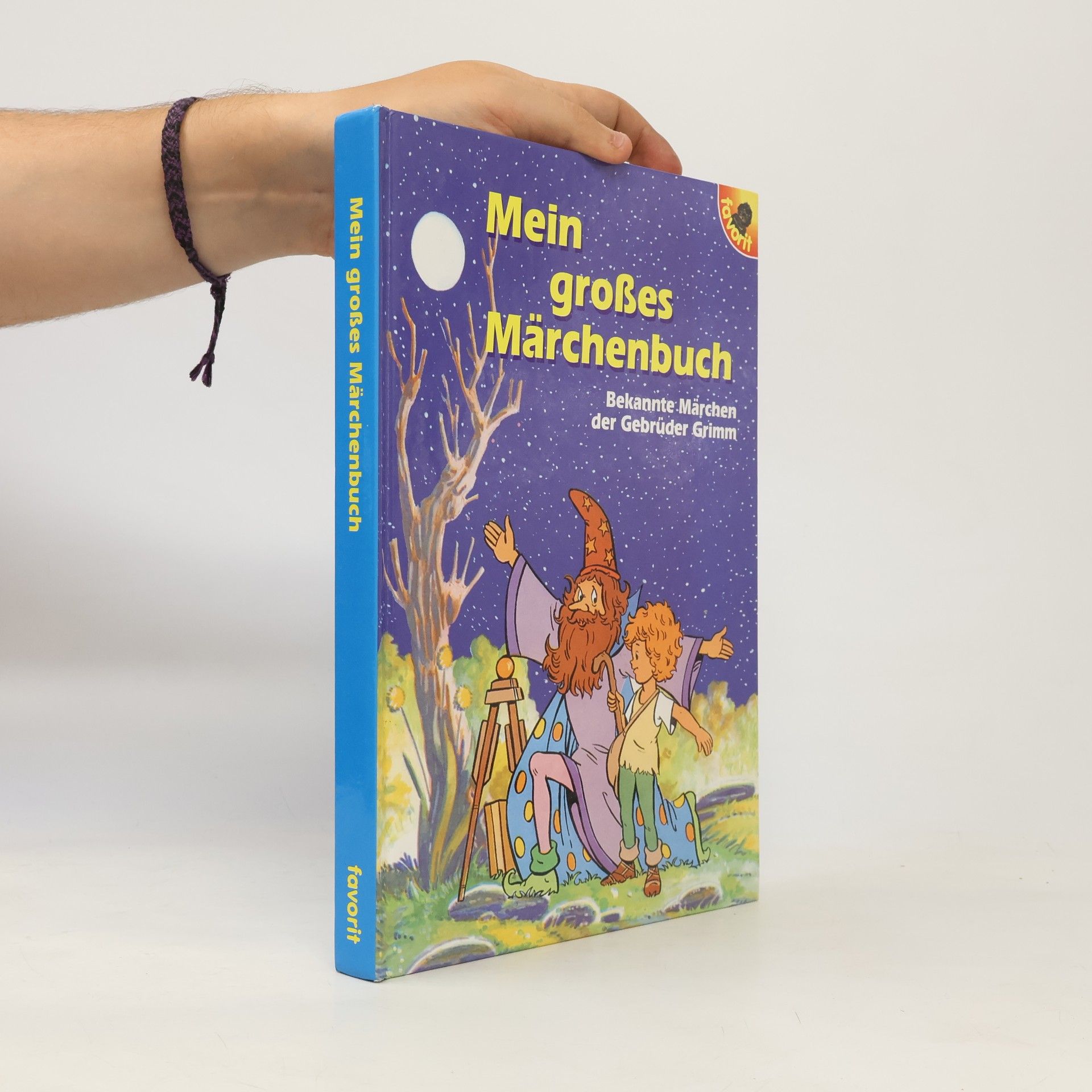 bratři Grimmové Mein großes Märchenbuch