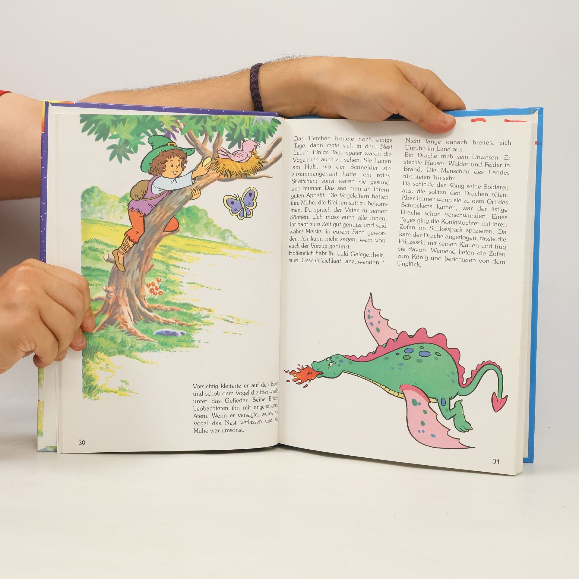 bratři Grimmové Mein großes Märchenbuch