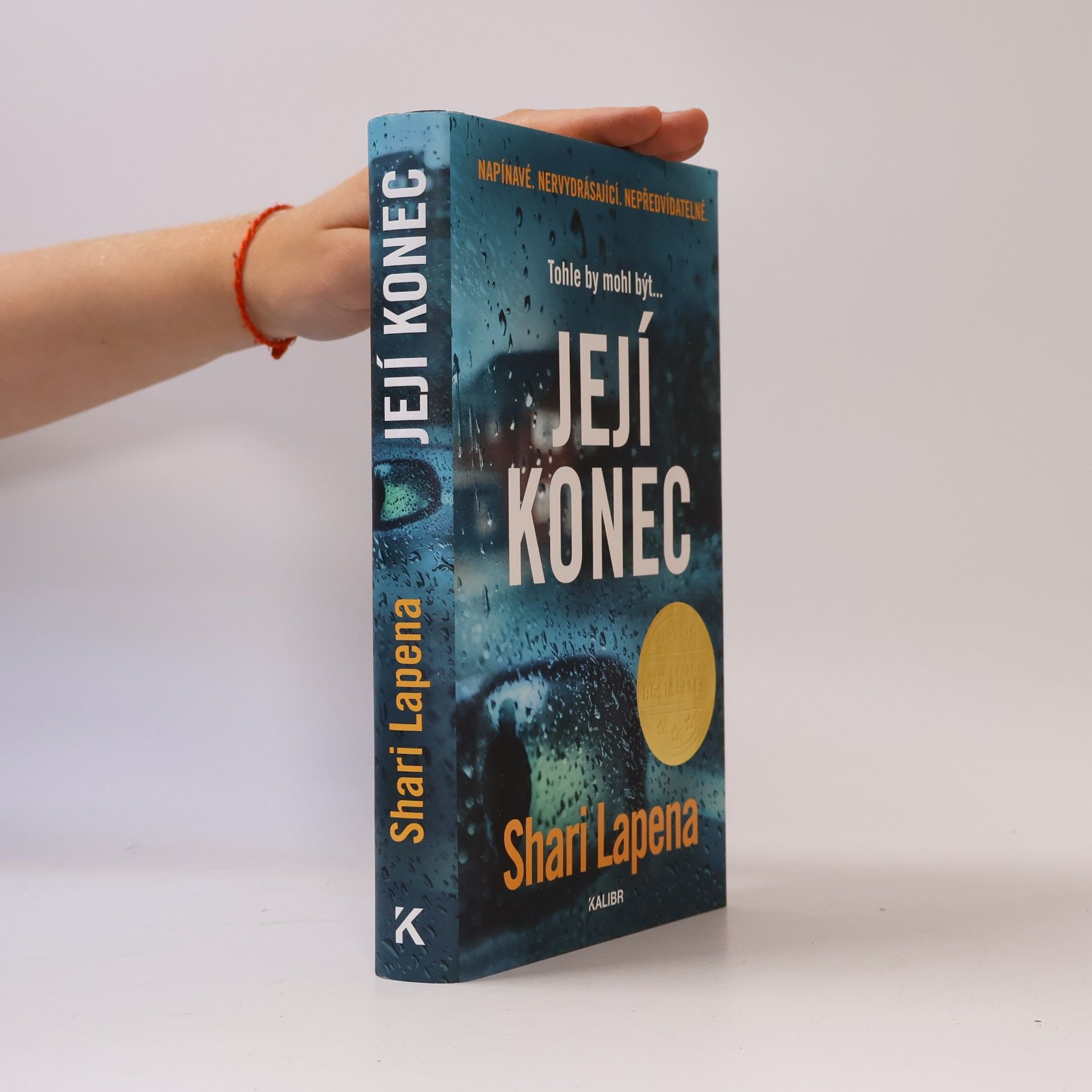 Shari Lapena Její konec