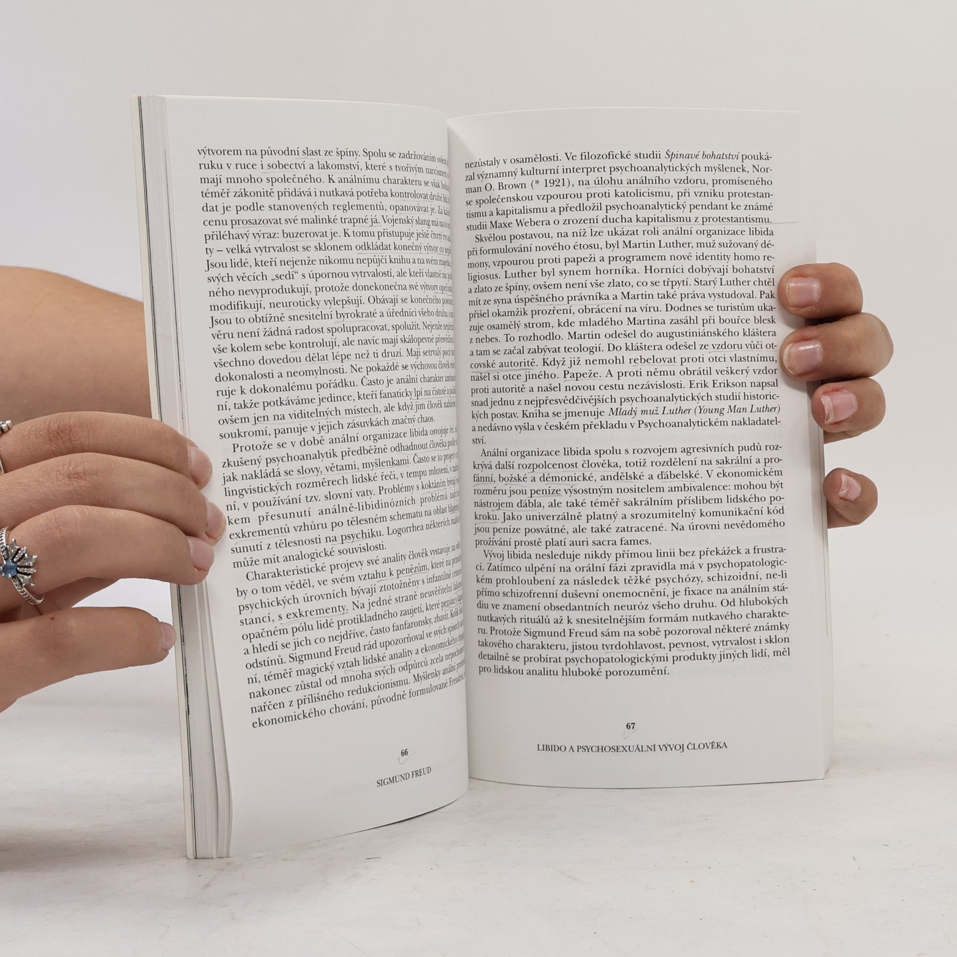 Michal Černoušek Sigmund Freud: Dobyvatel nevědomí